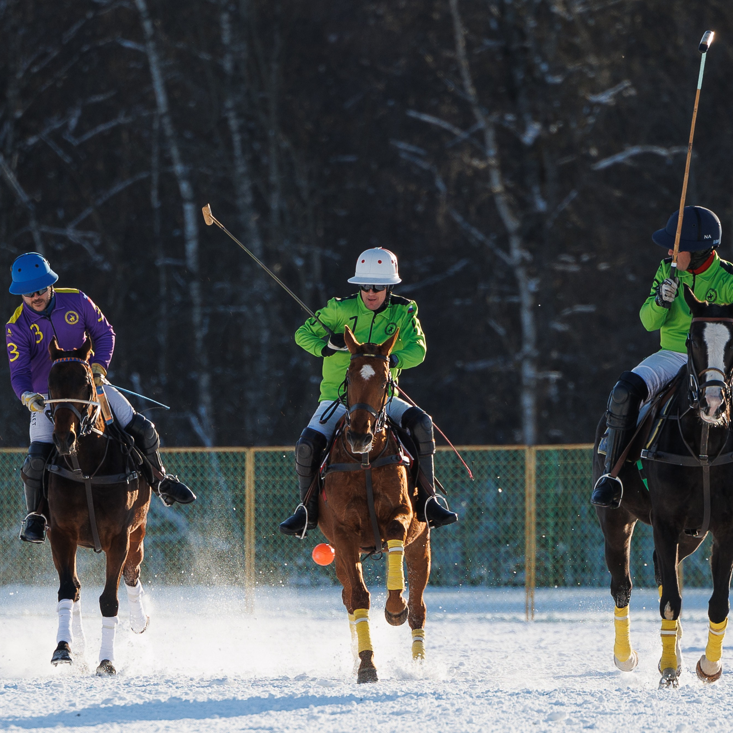 Поло 2024. Главная