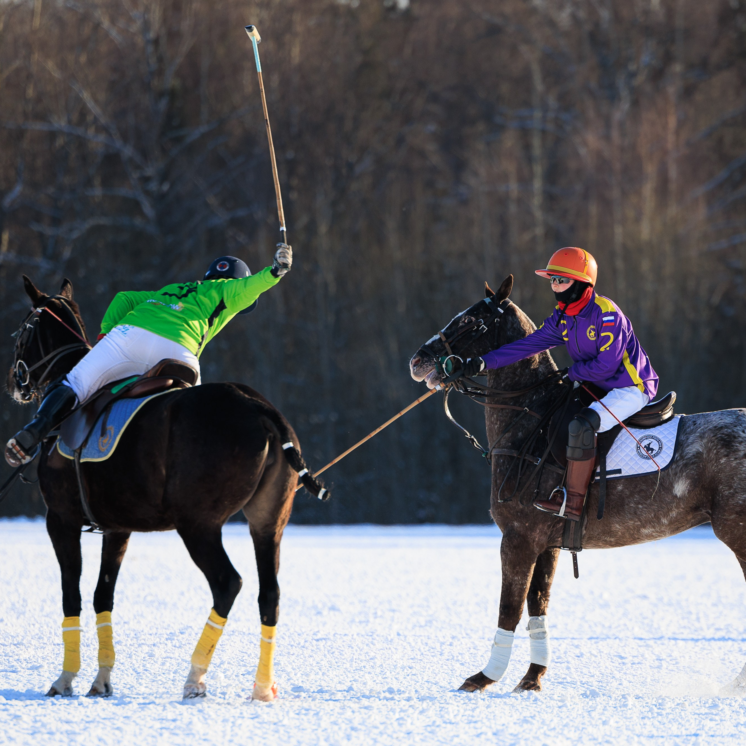Поло 2024. Главная
