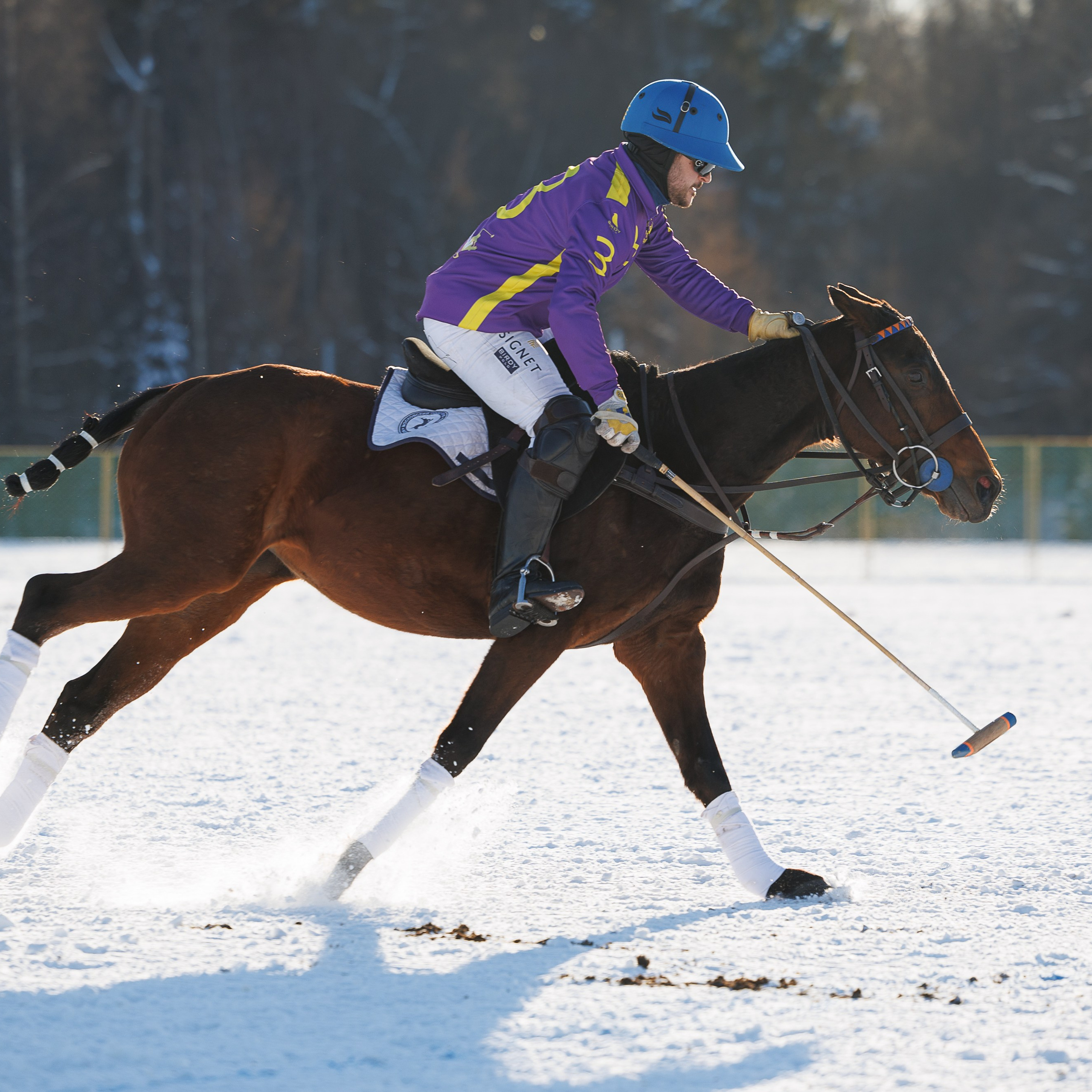 Поло 2024. Главная