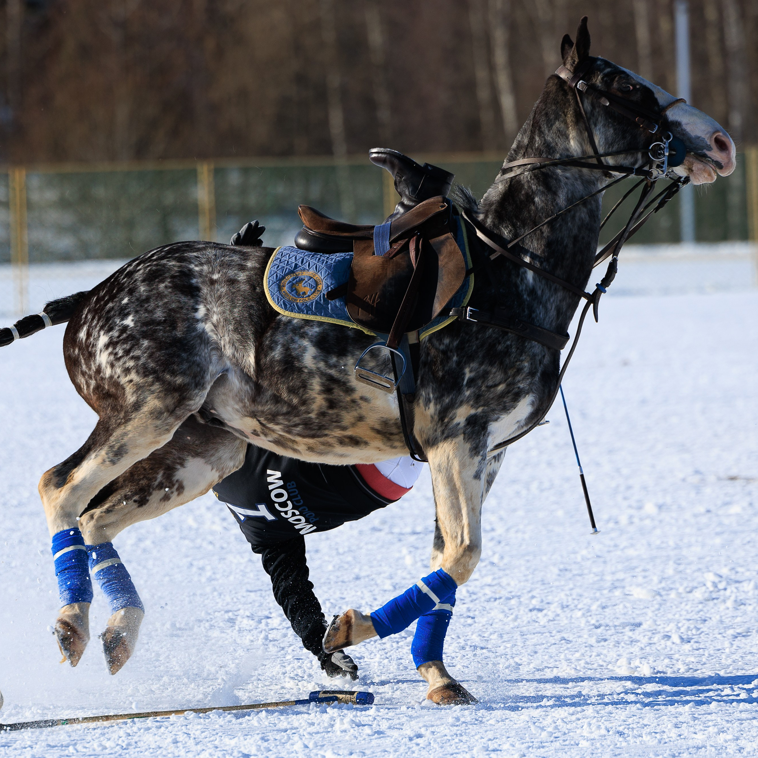 Поло 2024. Главная