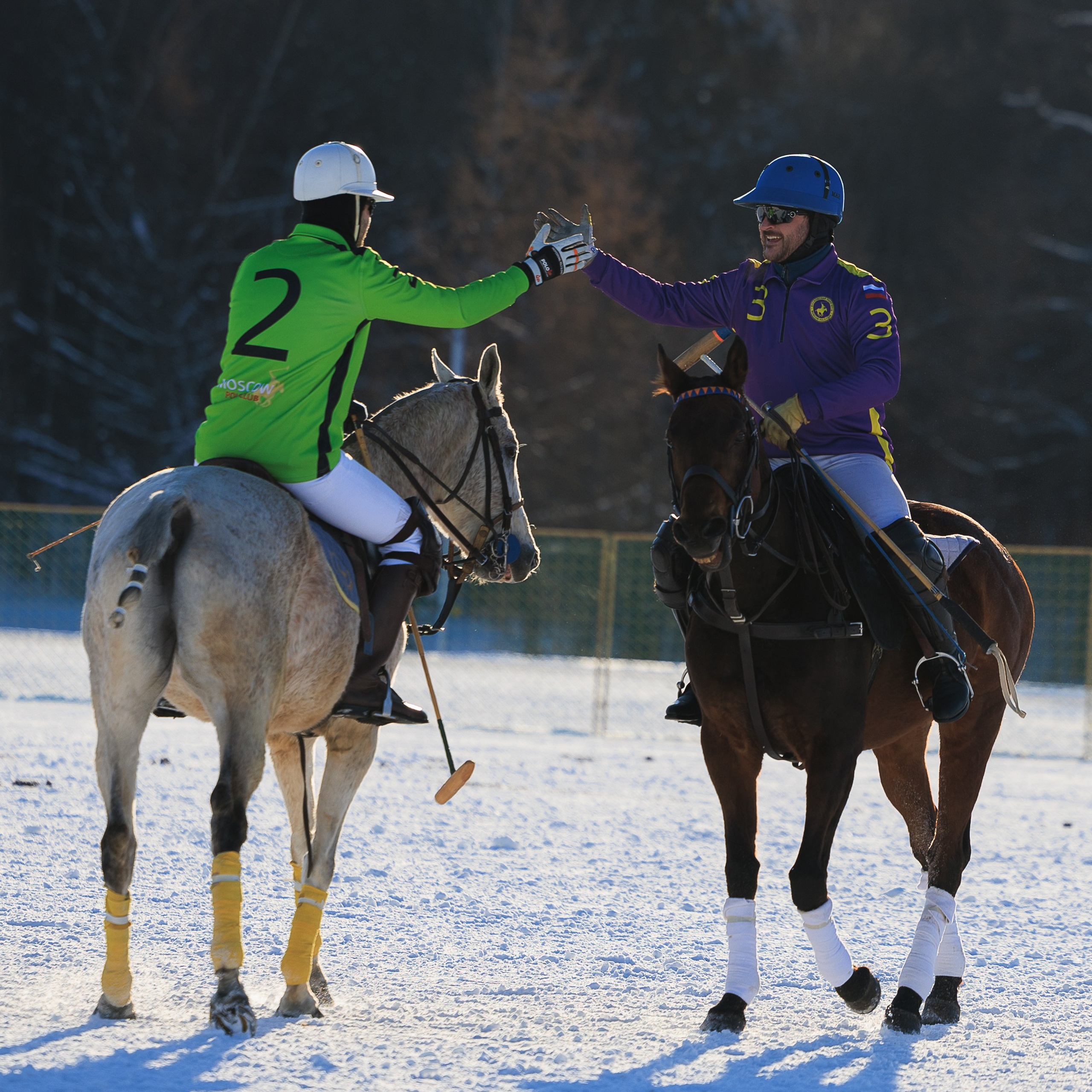 Поло 2024. Главная