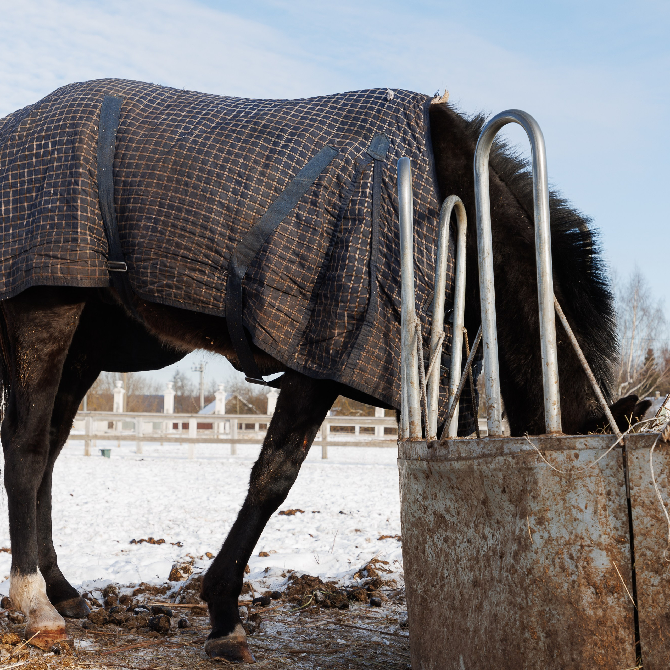 Поло 2024. Главная