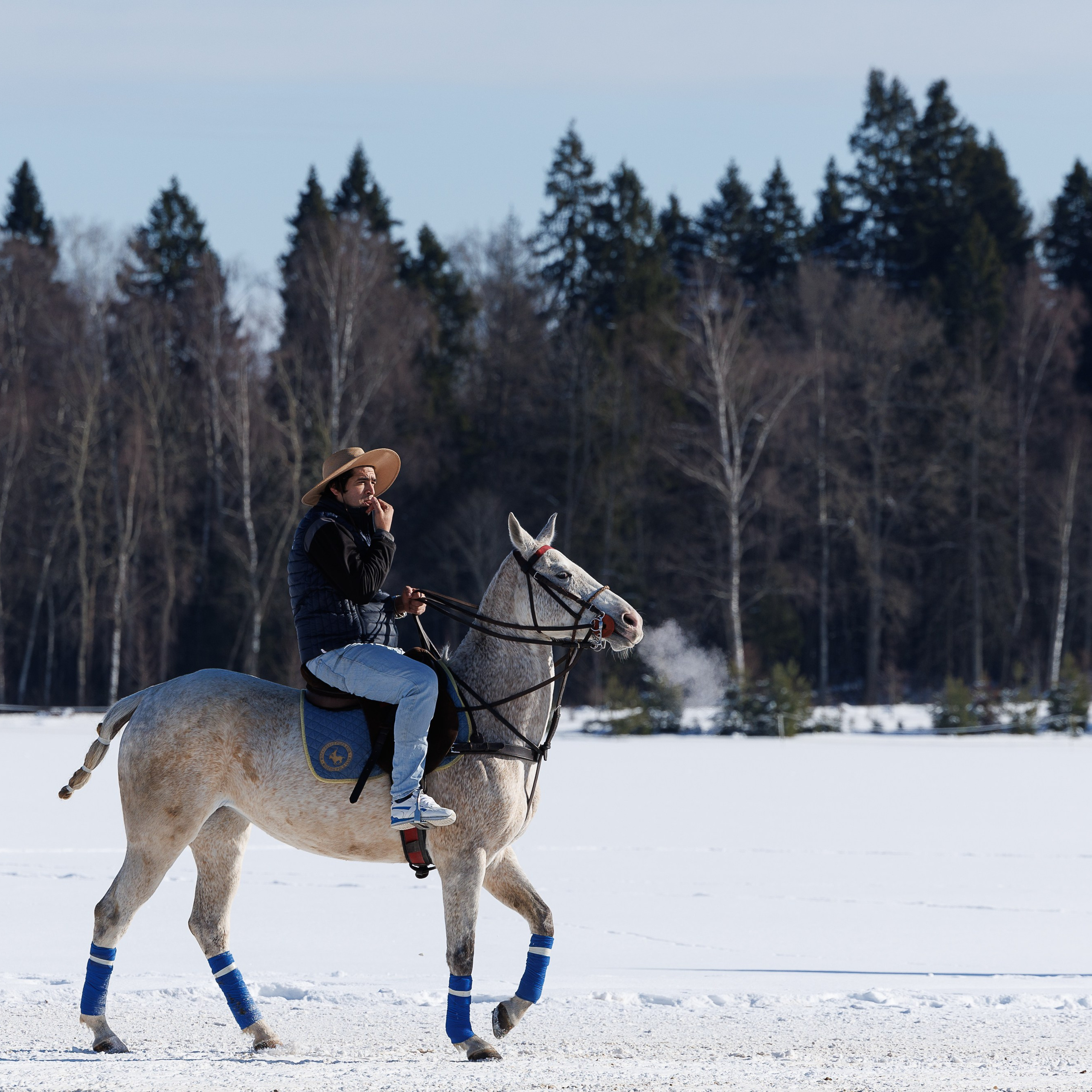Поло 2024. Главная