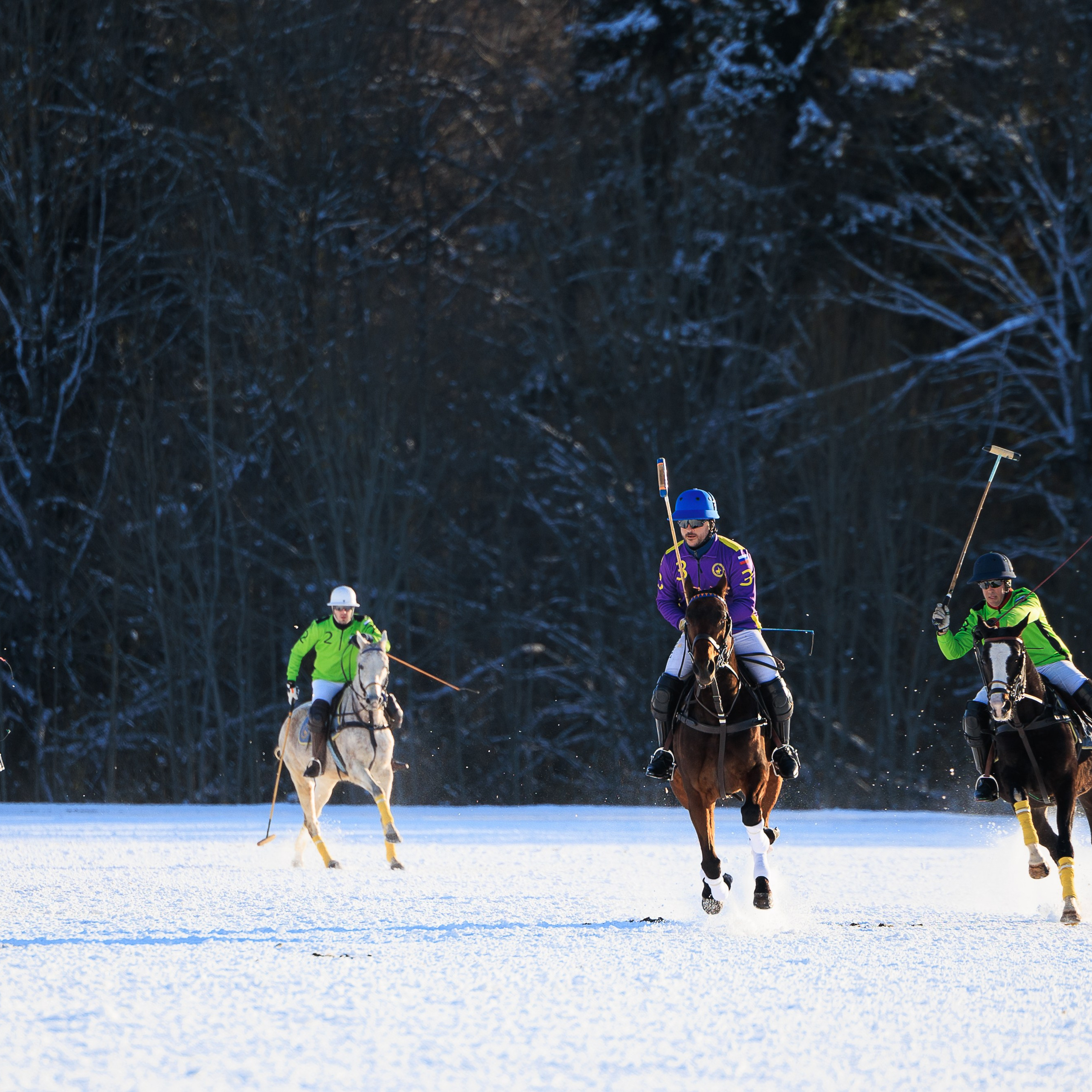 Поло 2024. Главная