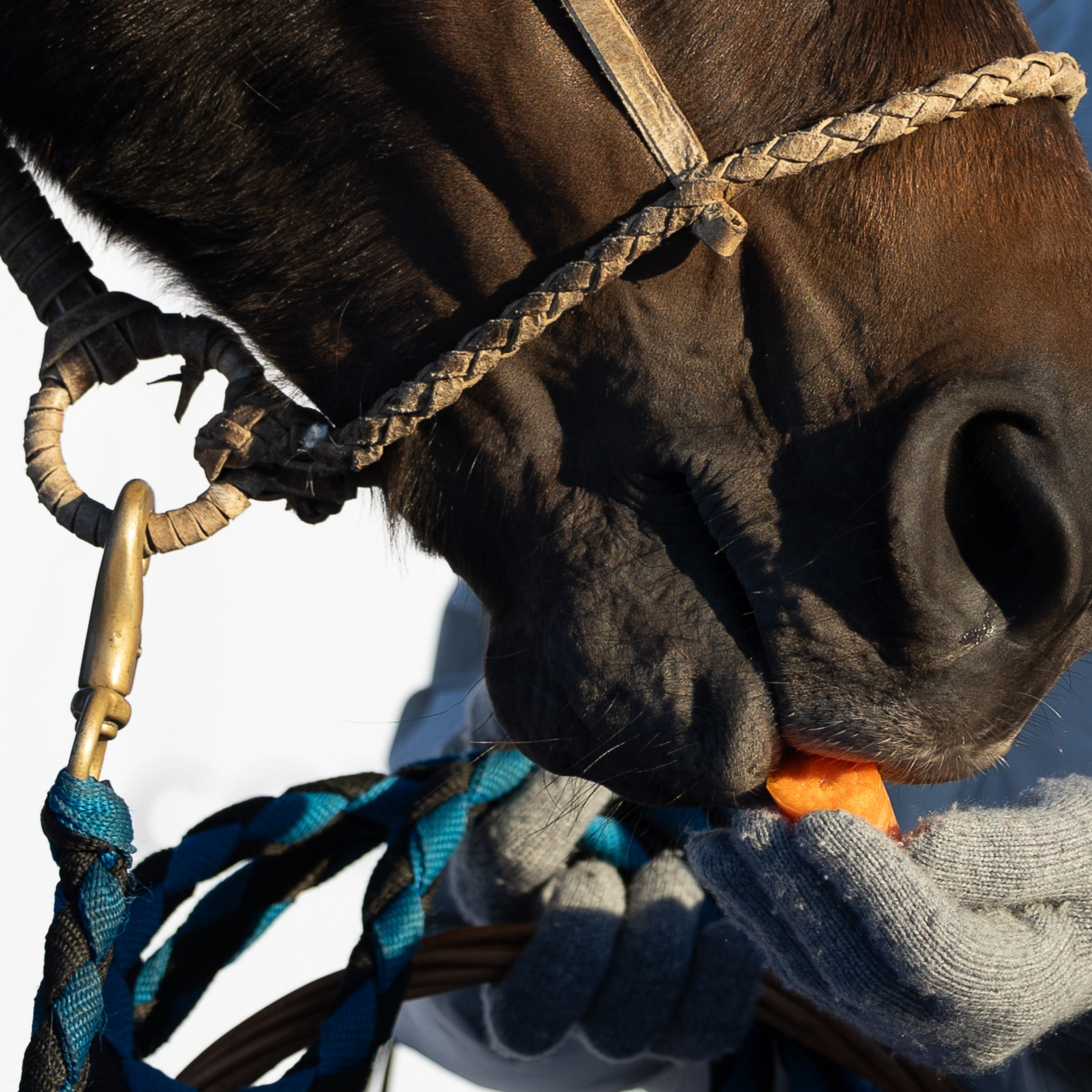 Поло 2024. Главная