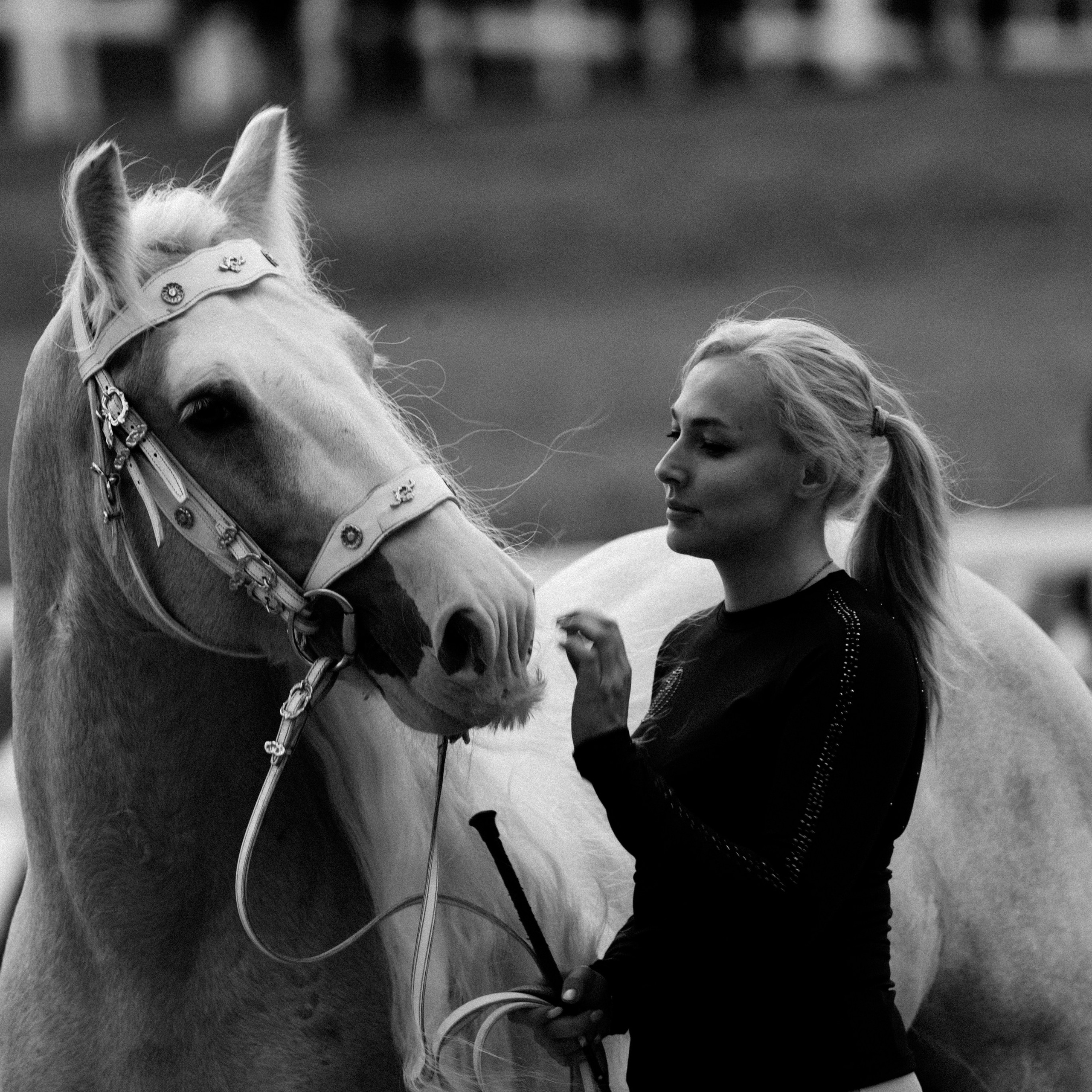 Эквирос 2025. Главная