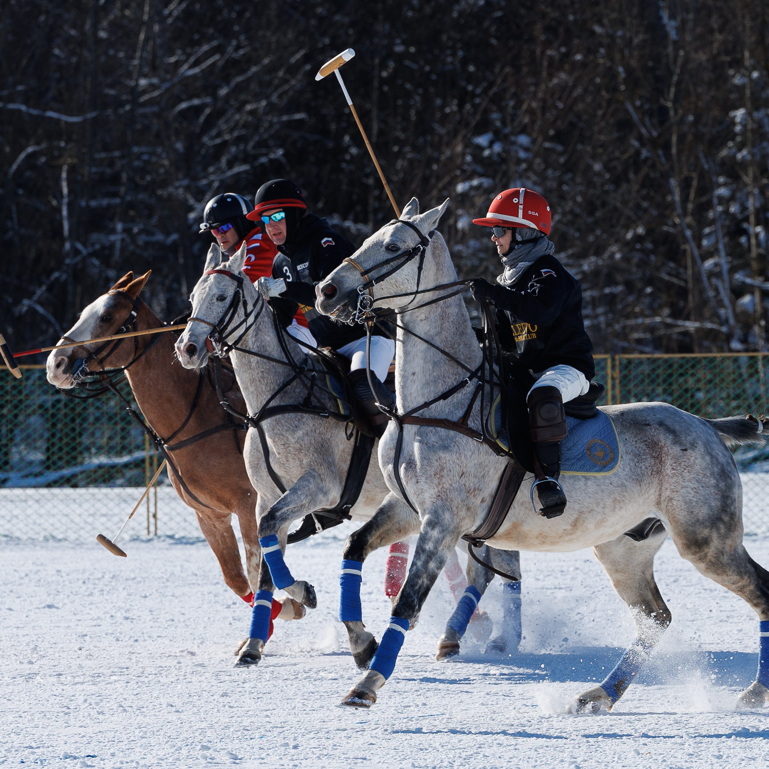 Поло 2024. Главная