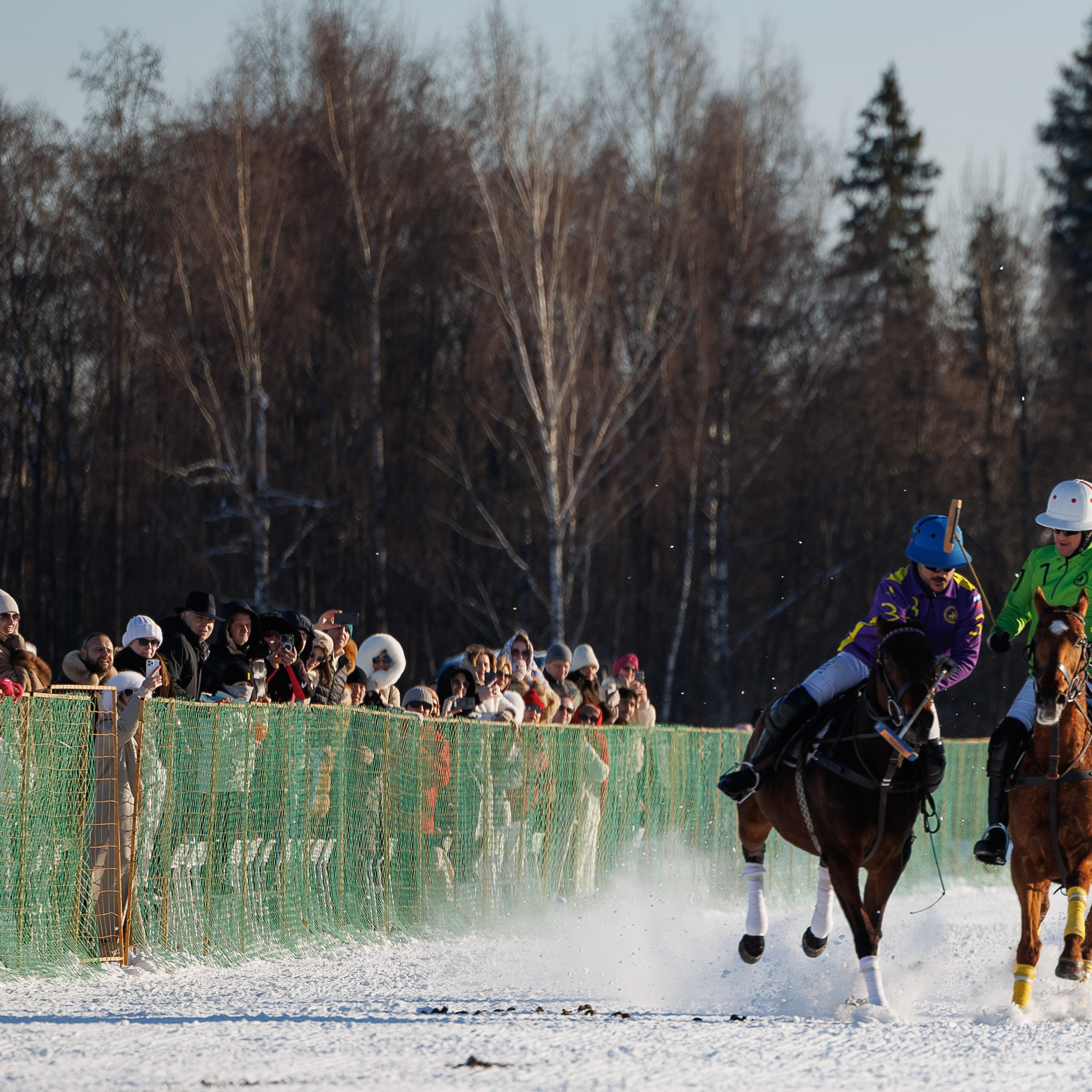 Поло 2024. Главная