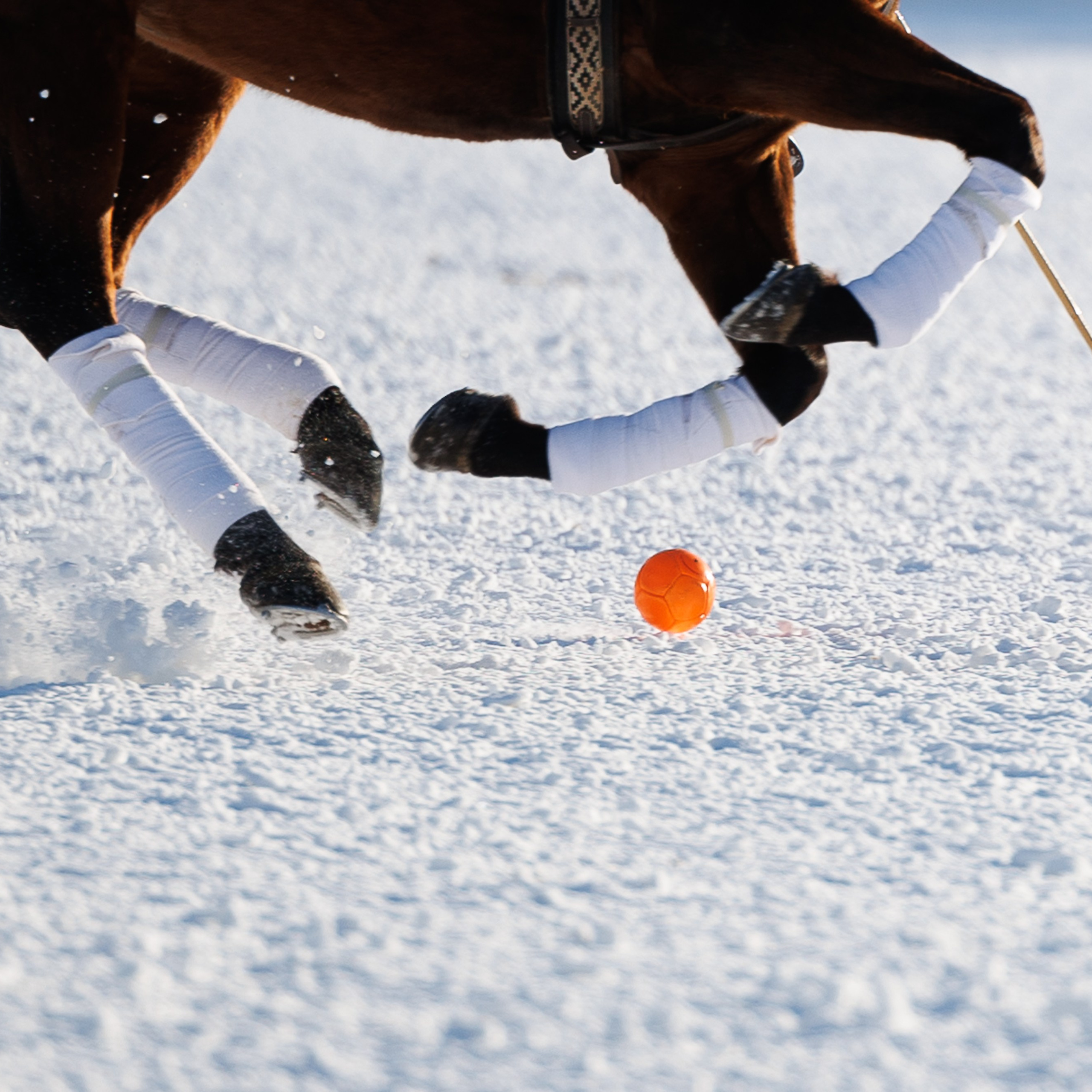 Поло 2024. Главная