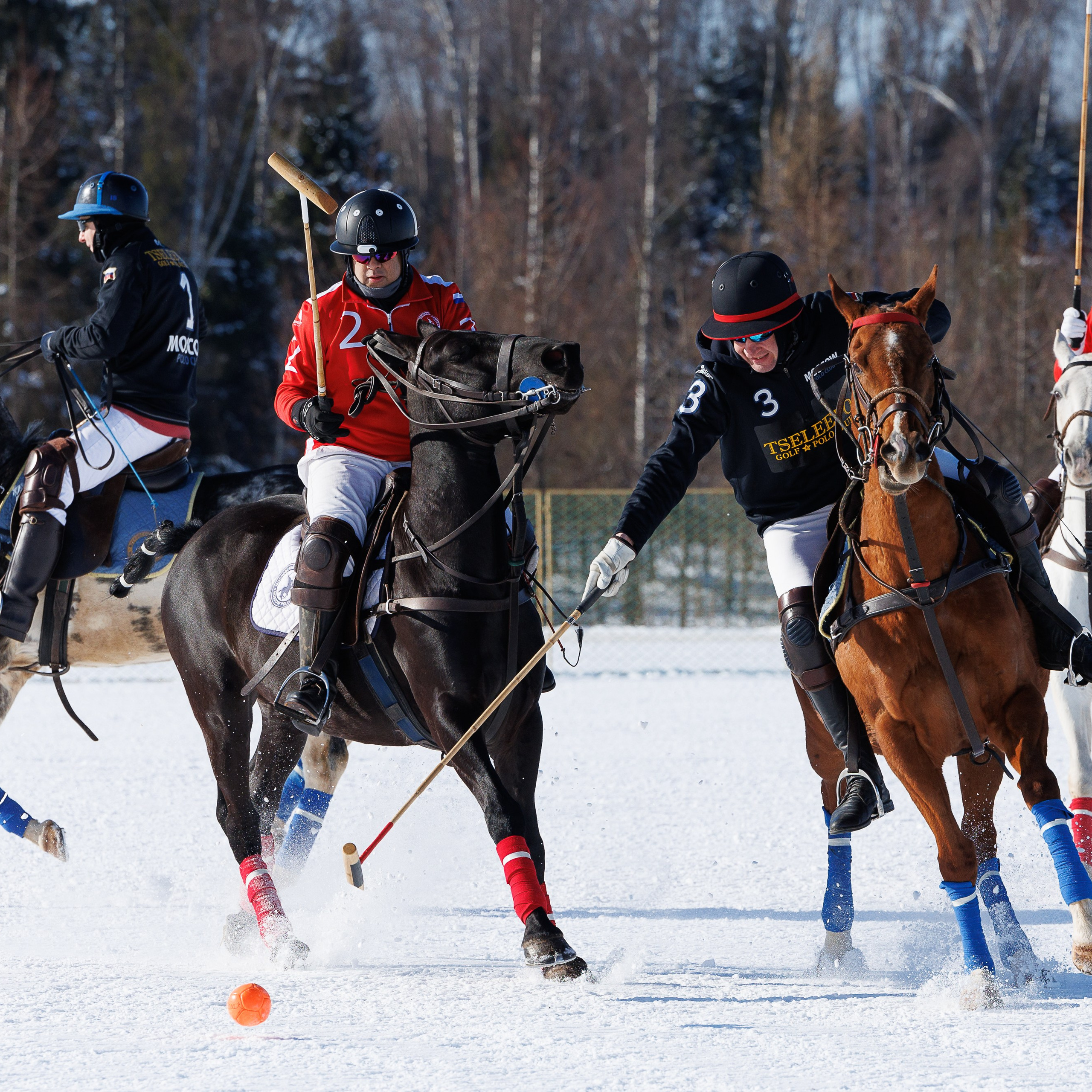 Поло 2024. Главная