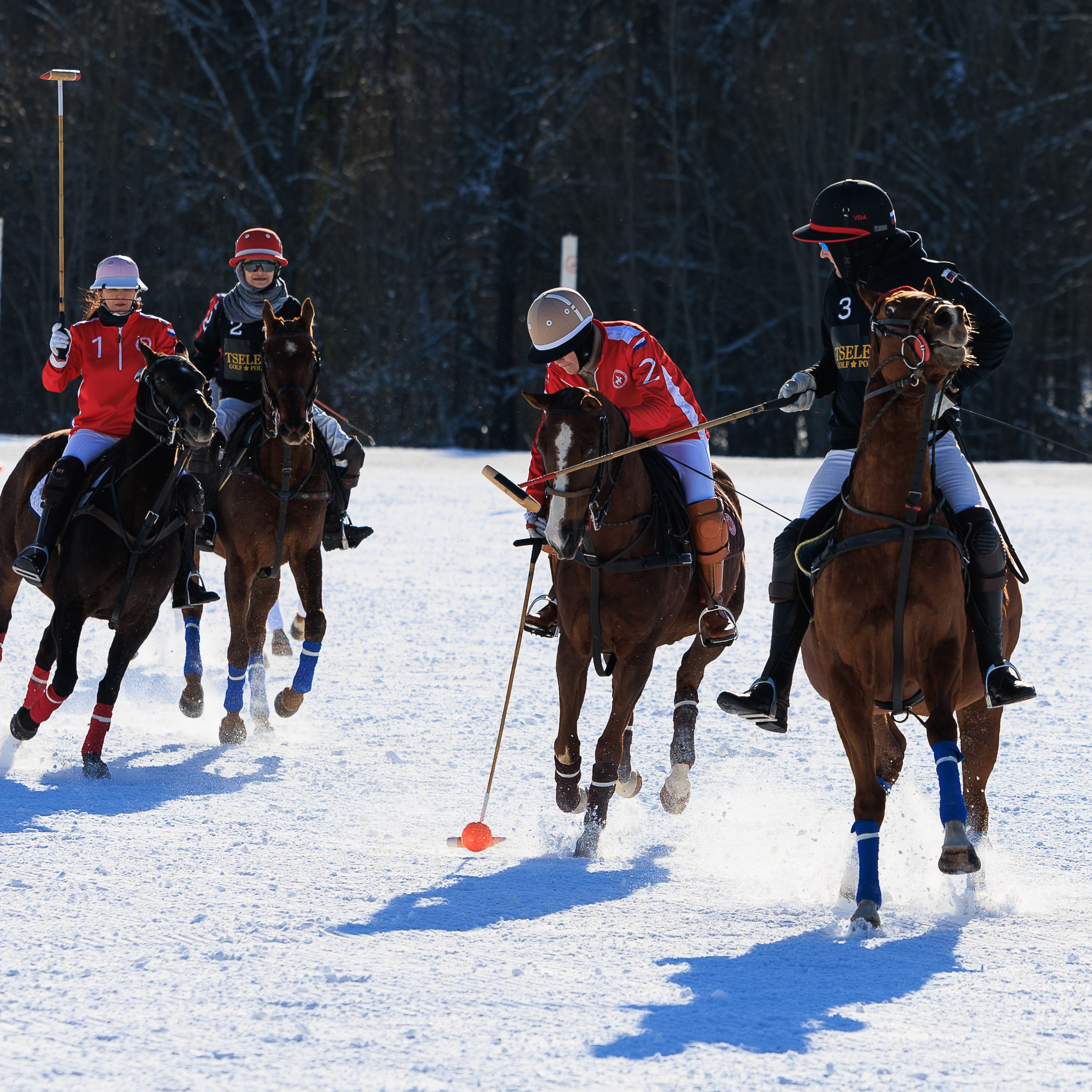 Поло 2024. Главная