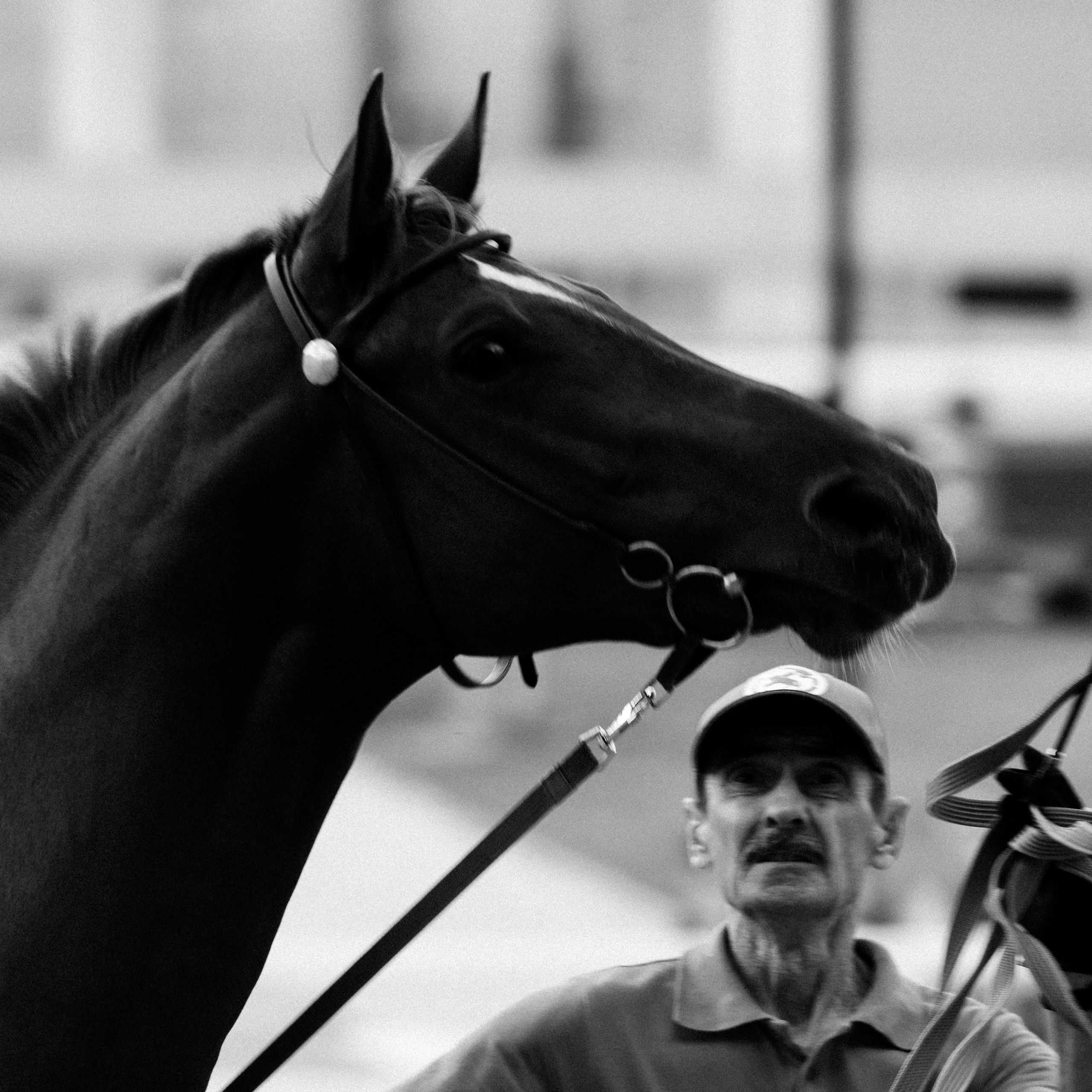 Эквирос 2025. Главная