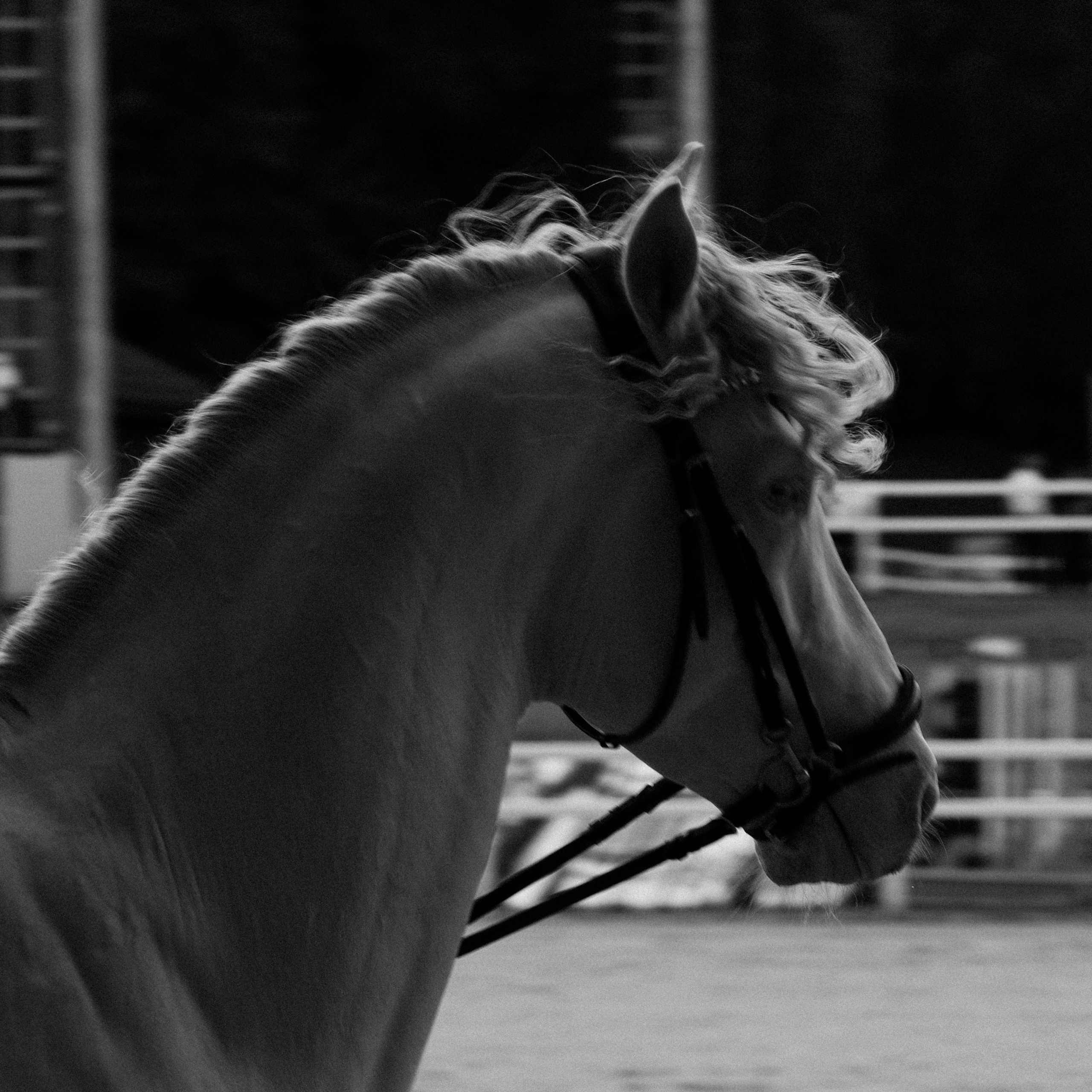 Эквирос 2025. Главная