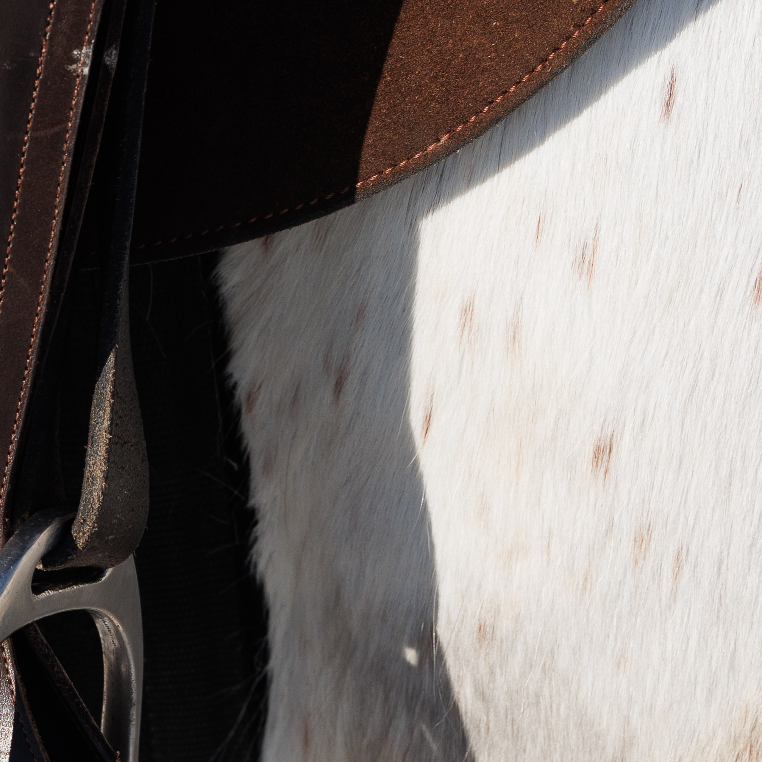 Поло 2024. Главная