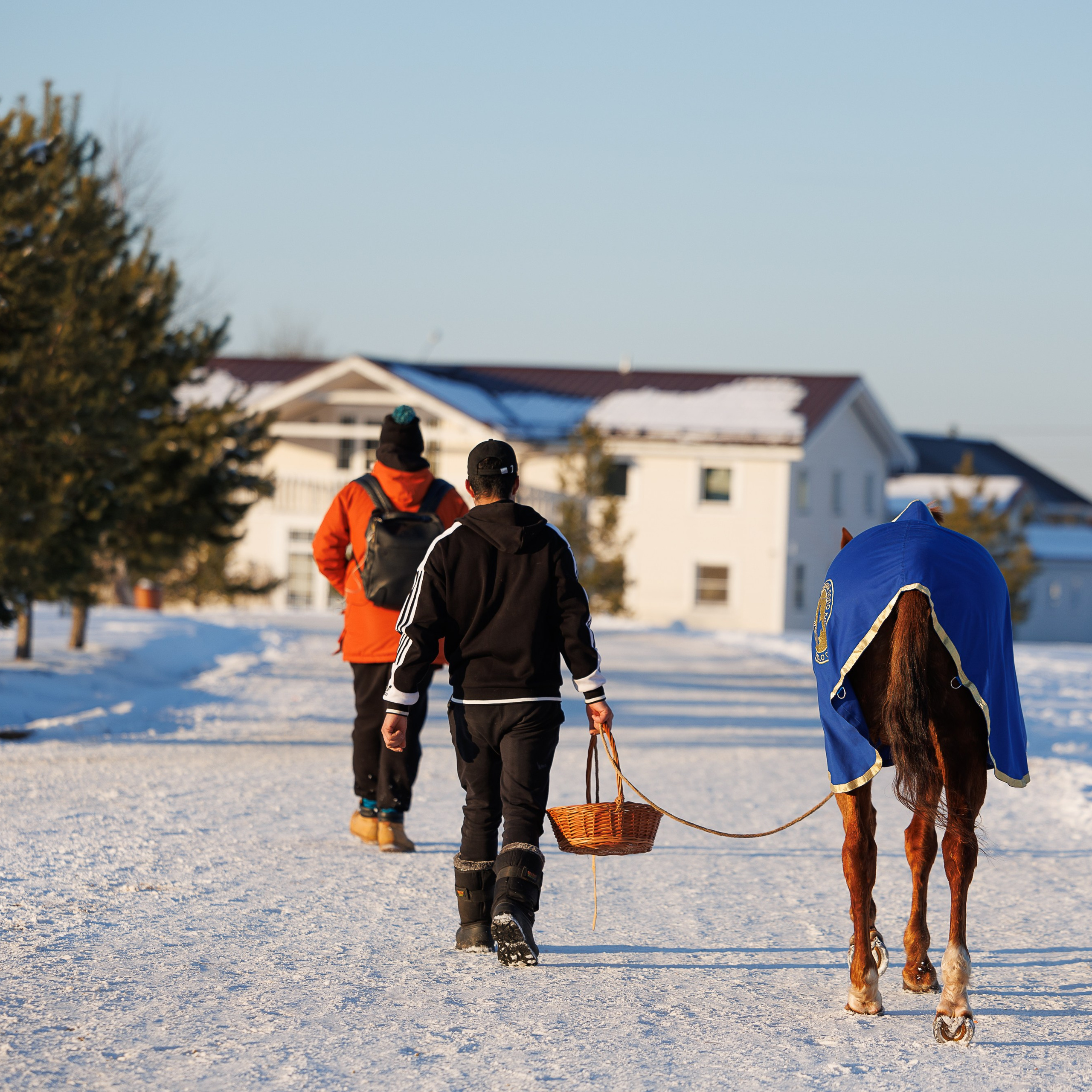 Поло 2024. Главная