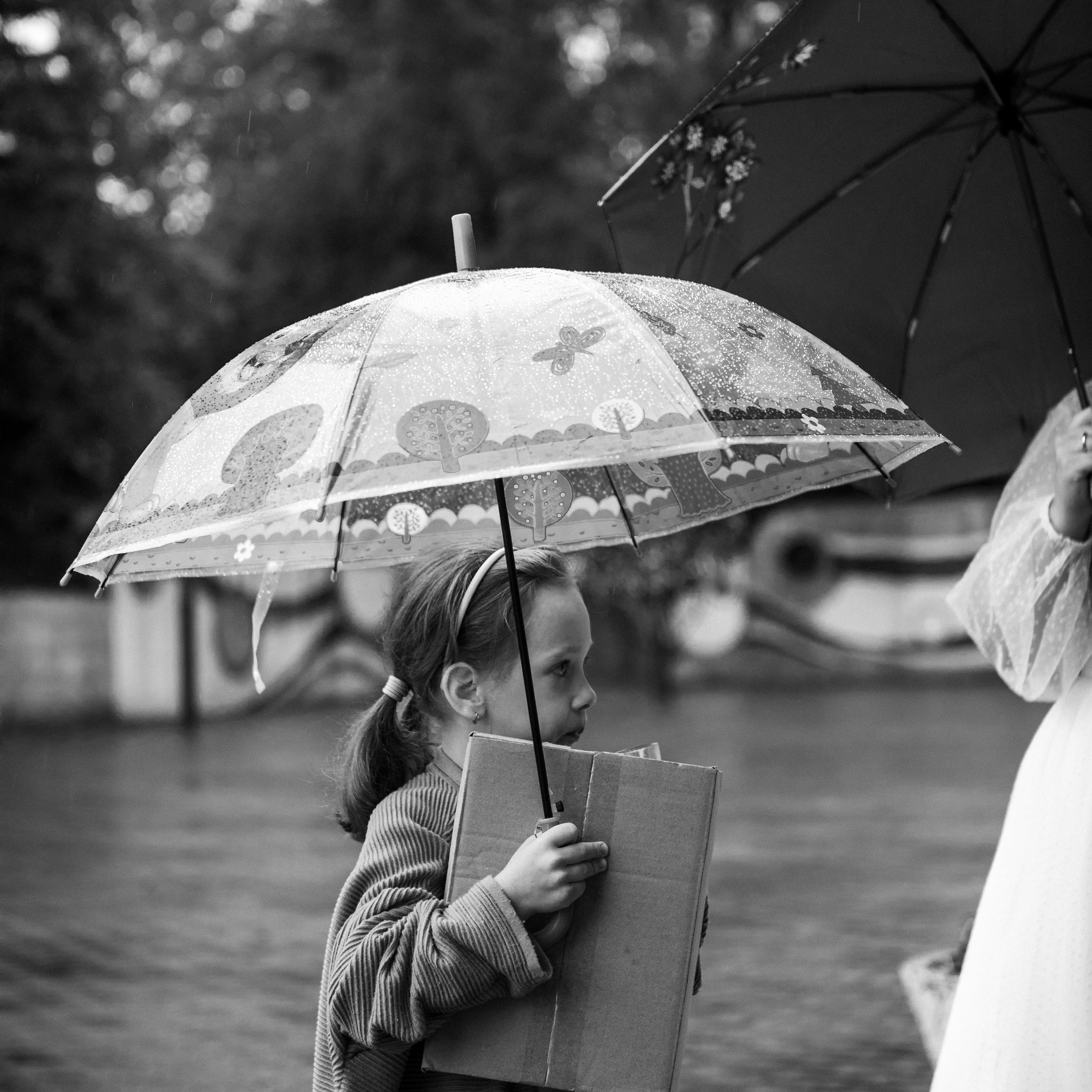 Денис и Юля. Студия фотографии «Антония Белобородова»