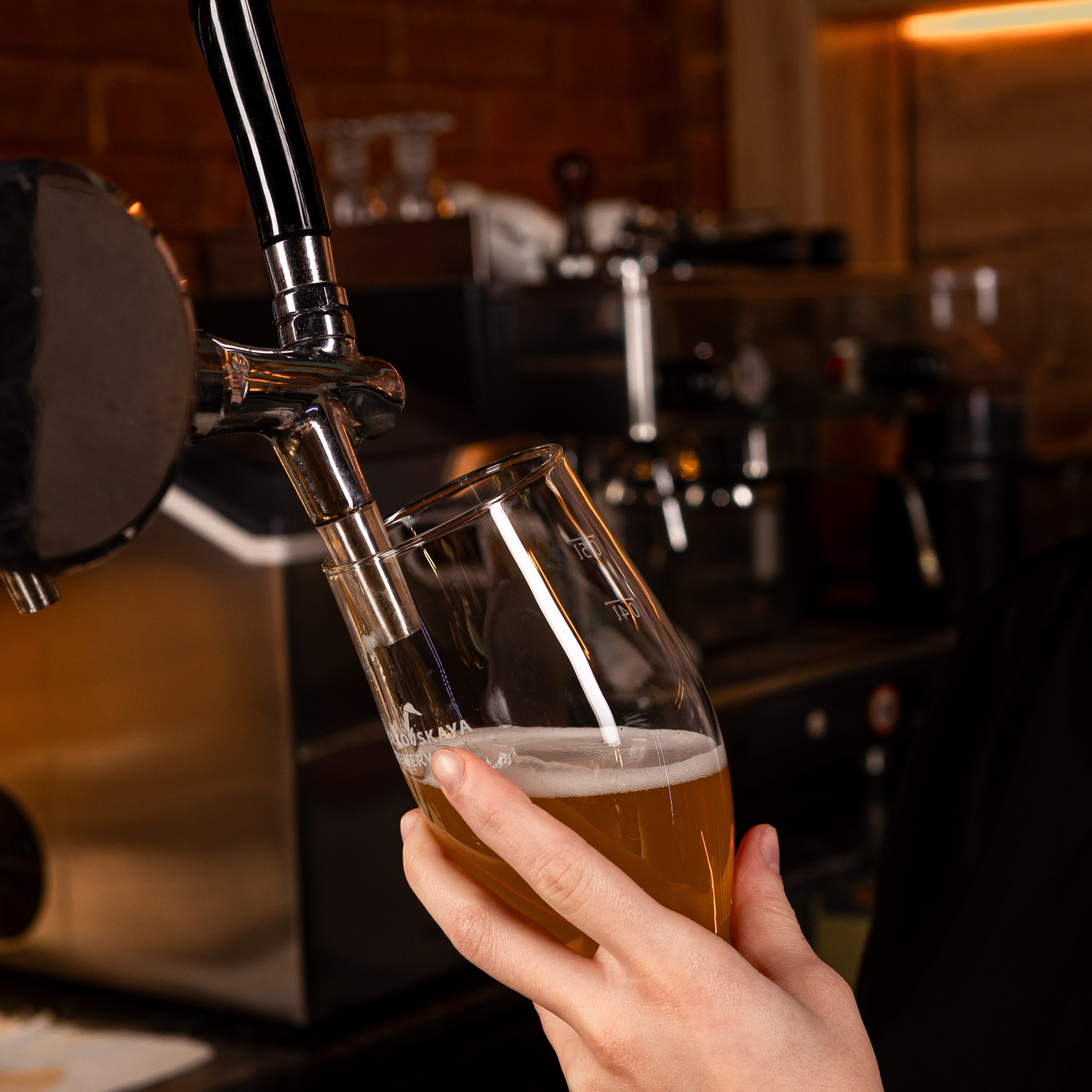 Для кафе и ресторанов. Студия фотографии «Антония Белобородова»