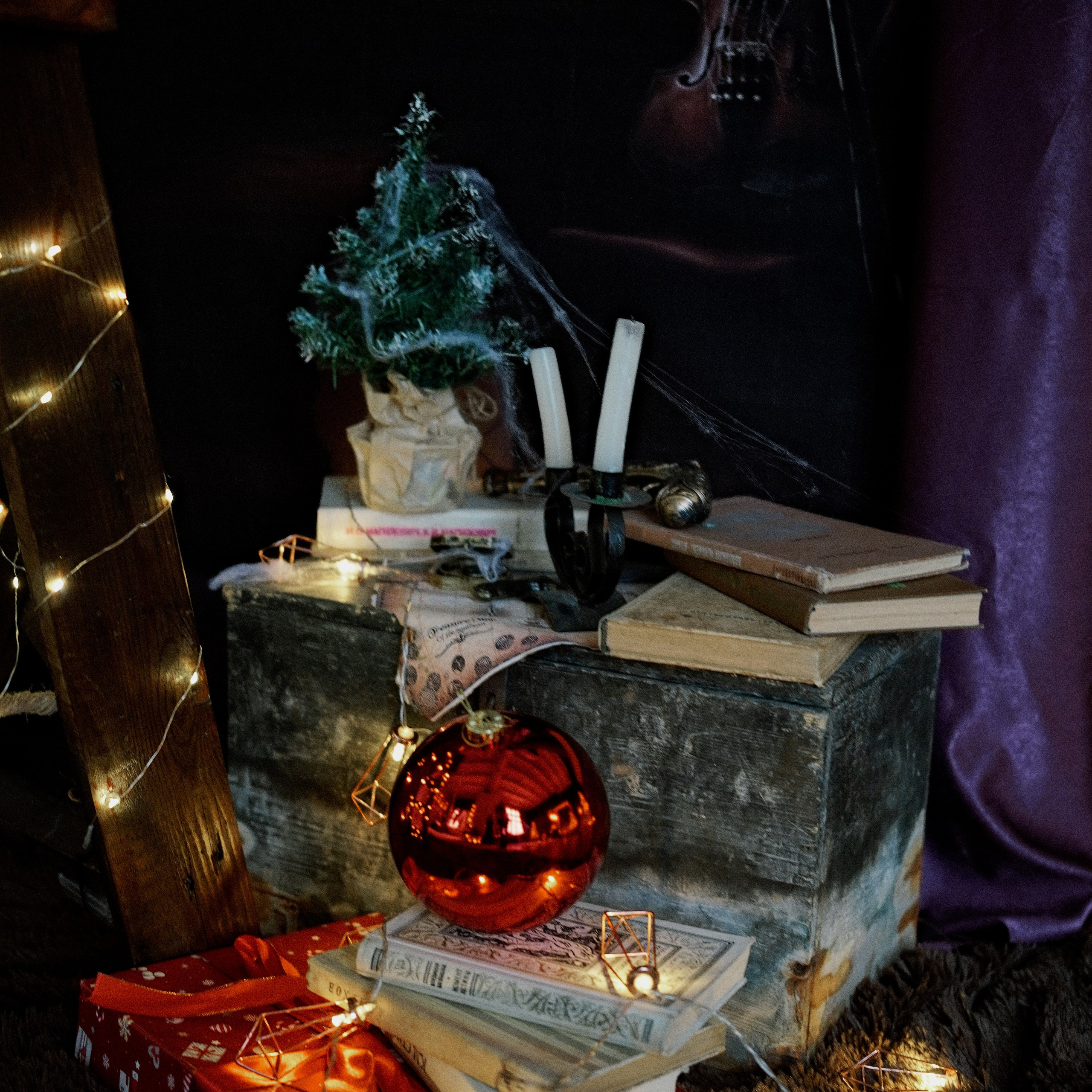 Новогодний сезон 25/26. Студия фотографии «Антония Белобородова»