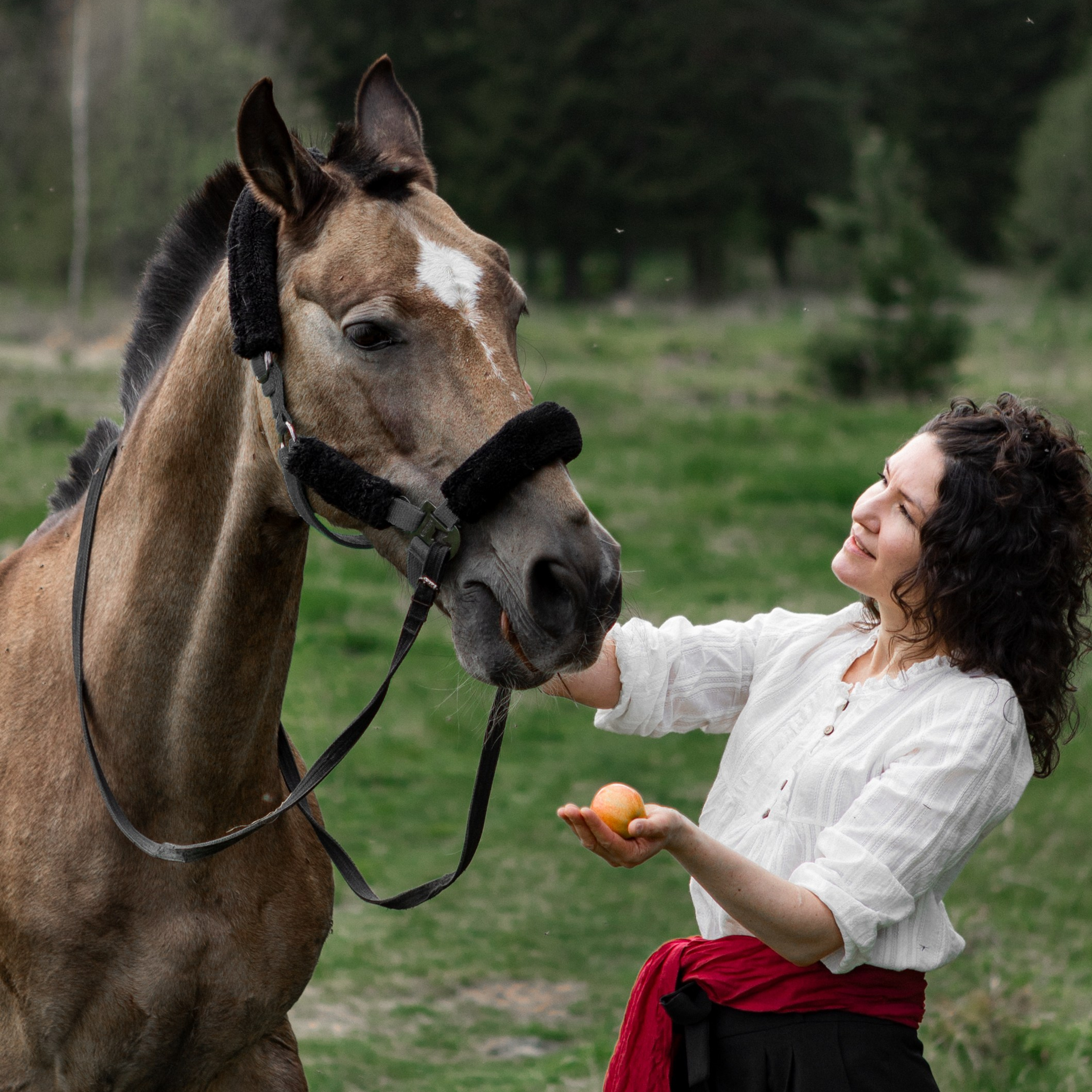 Съемка с лошадьми. Студия фотографии «Антония Белобородова»