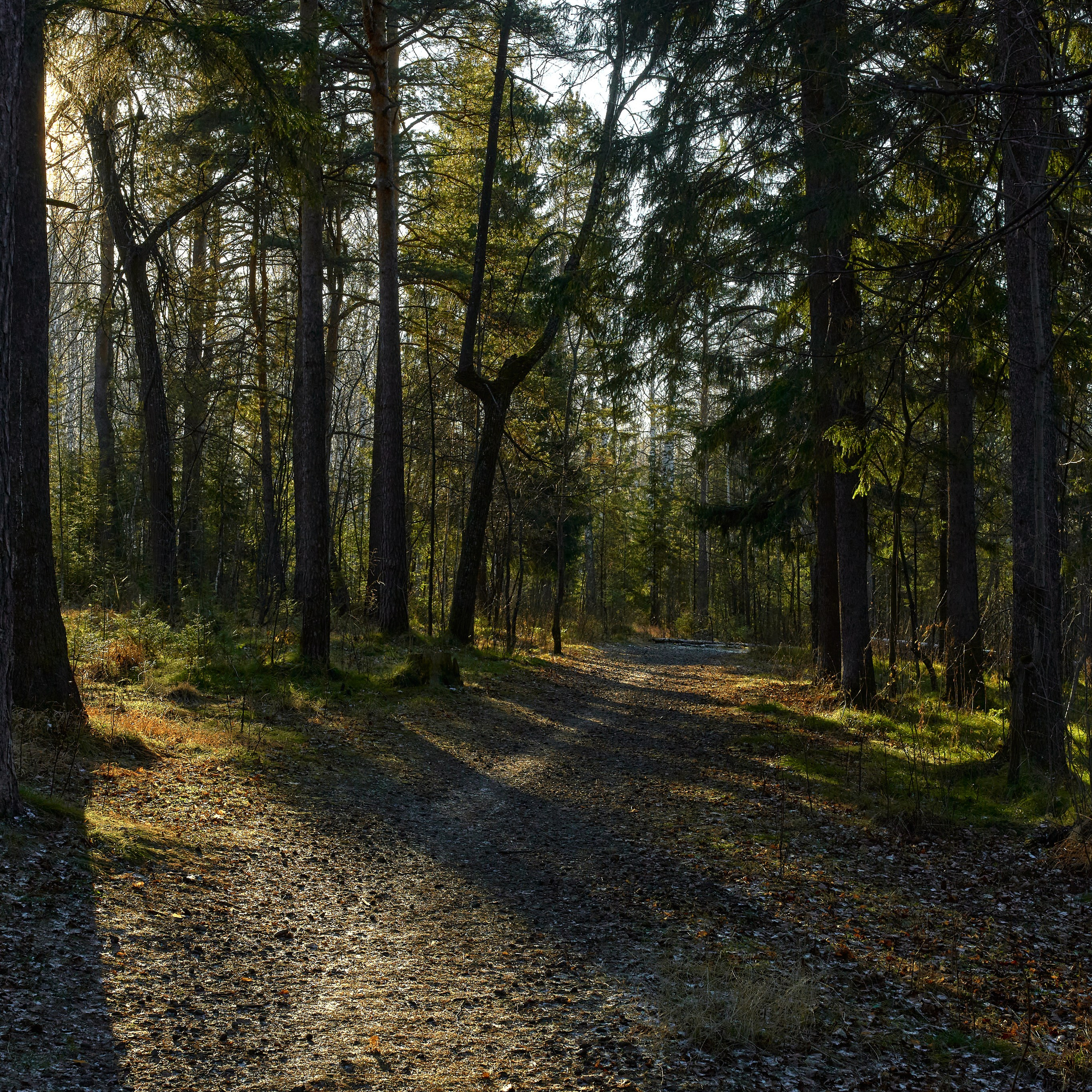 Отзывы. Студия фотографии «Антония Белобородова»
