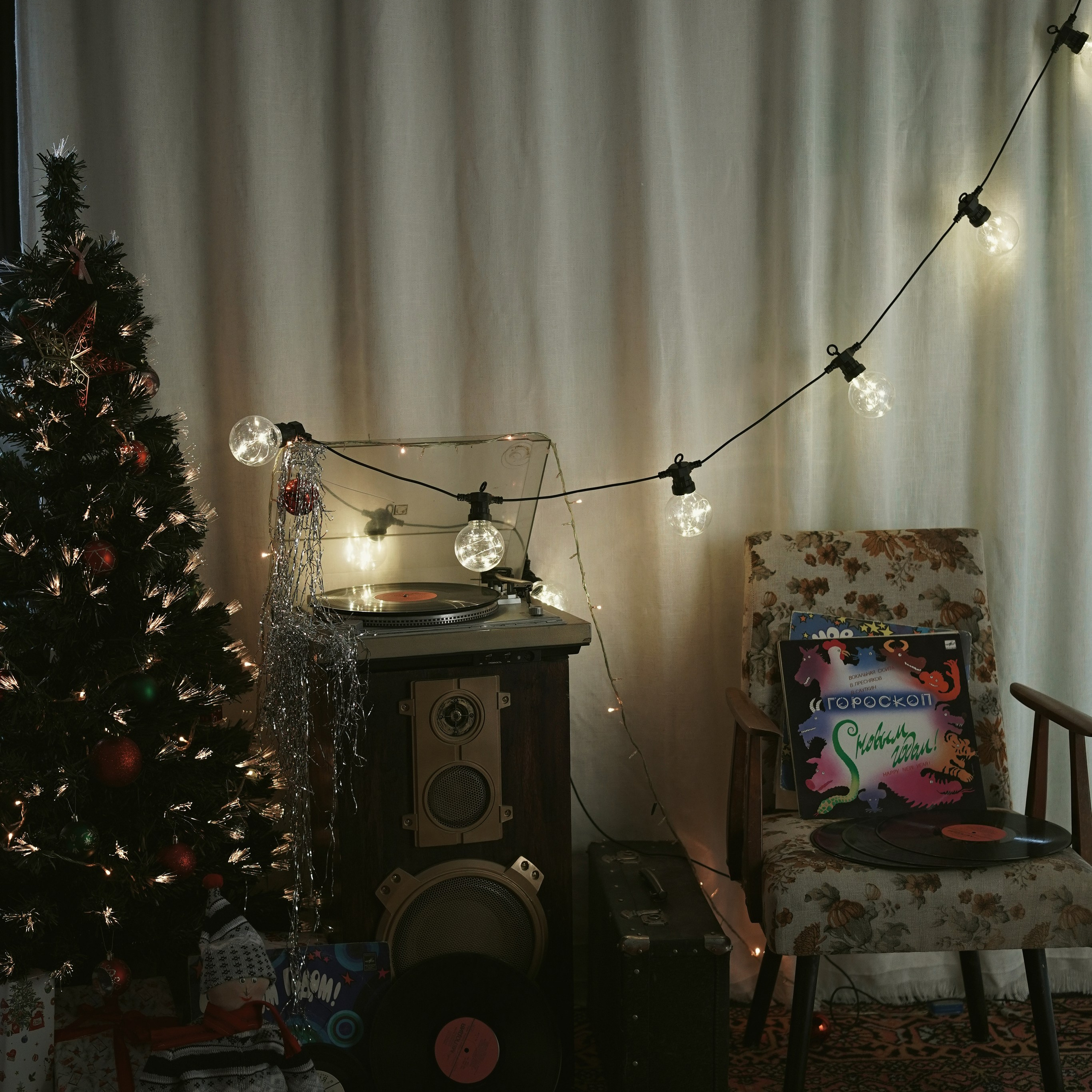 Новогодний сезон 25/26. Студия фотографии «Антония Белобородова»