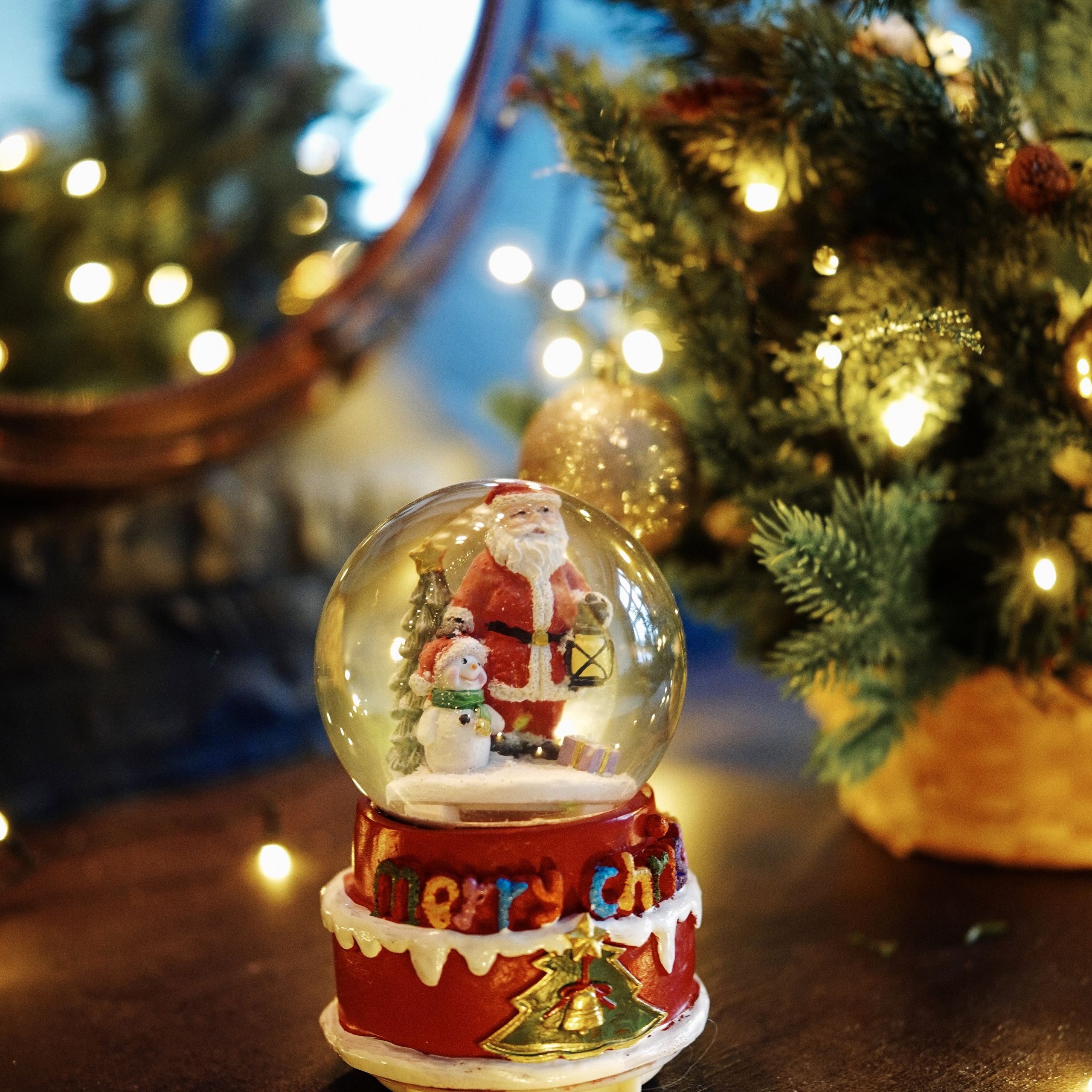 Новогодний сезон 25/26. Студия фотографии «Антония Белобородова»