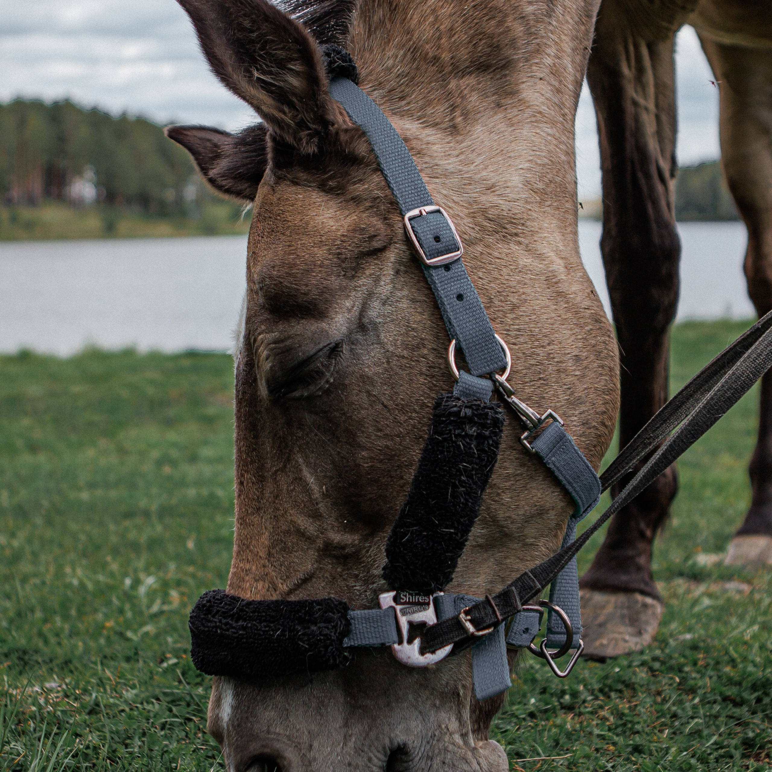 Съемка с лошадьми. Студия фотографии «Антония Белобородова»