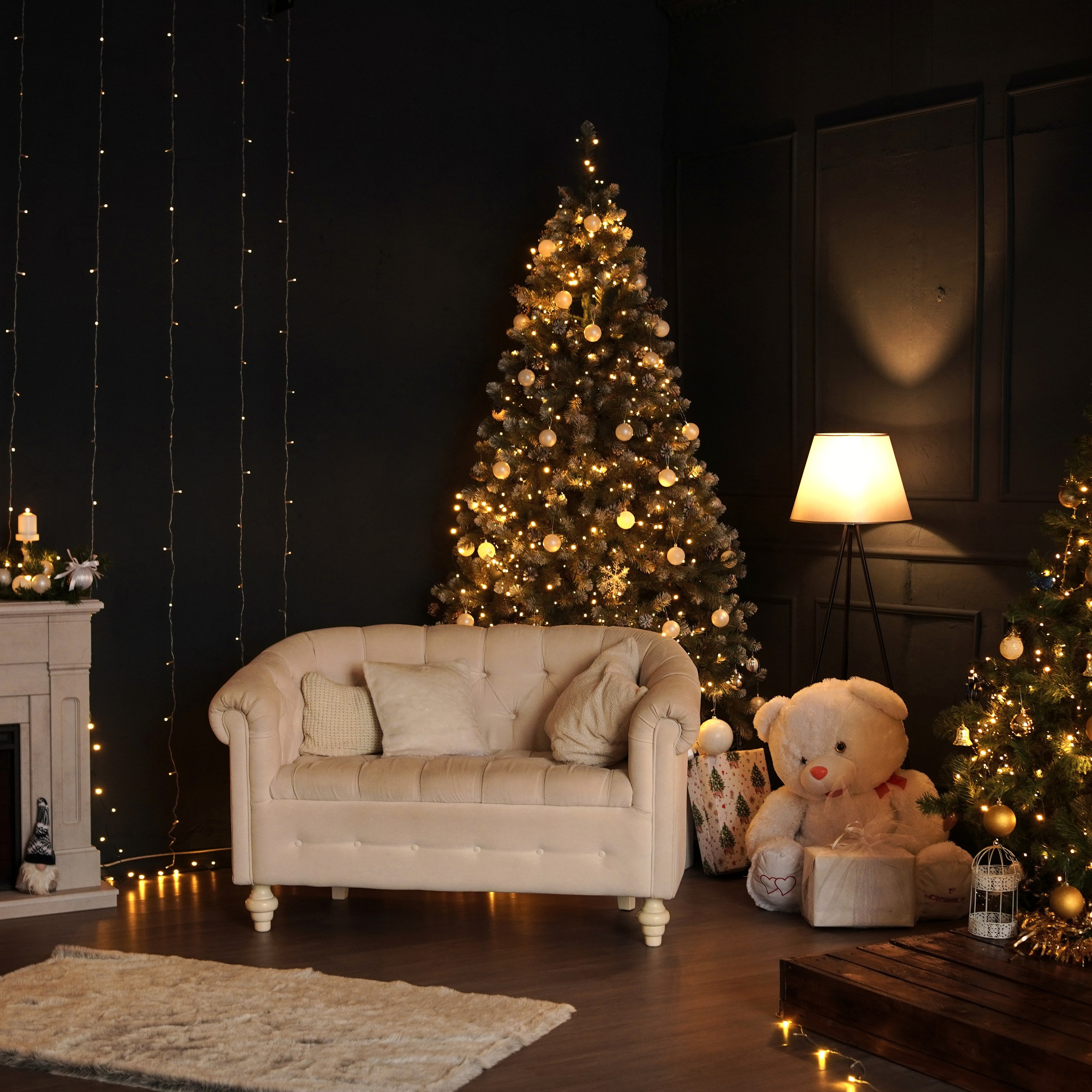 Новогодний сезон 25/26. Студия фотографии «Антония Белобородова»