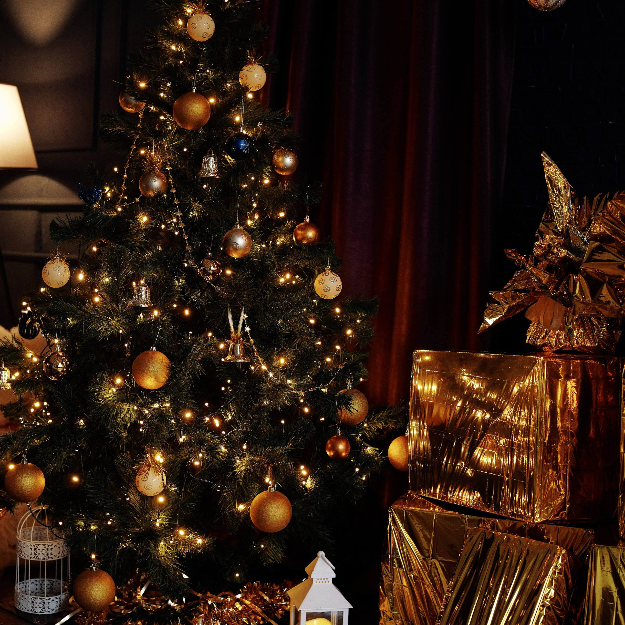 Новогодний сезон 25/26. Студия фотографии «Антония Белобородова»