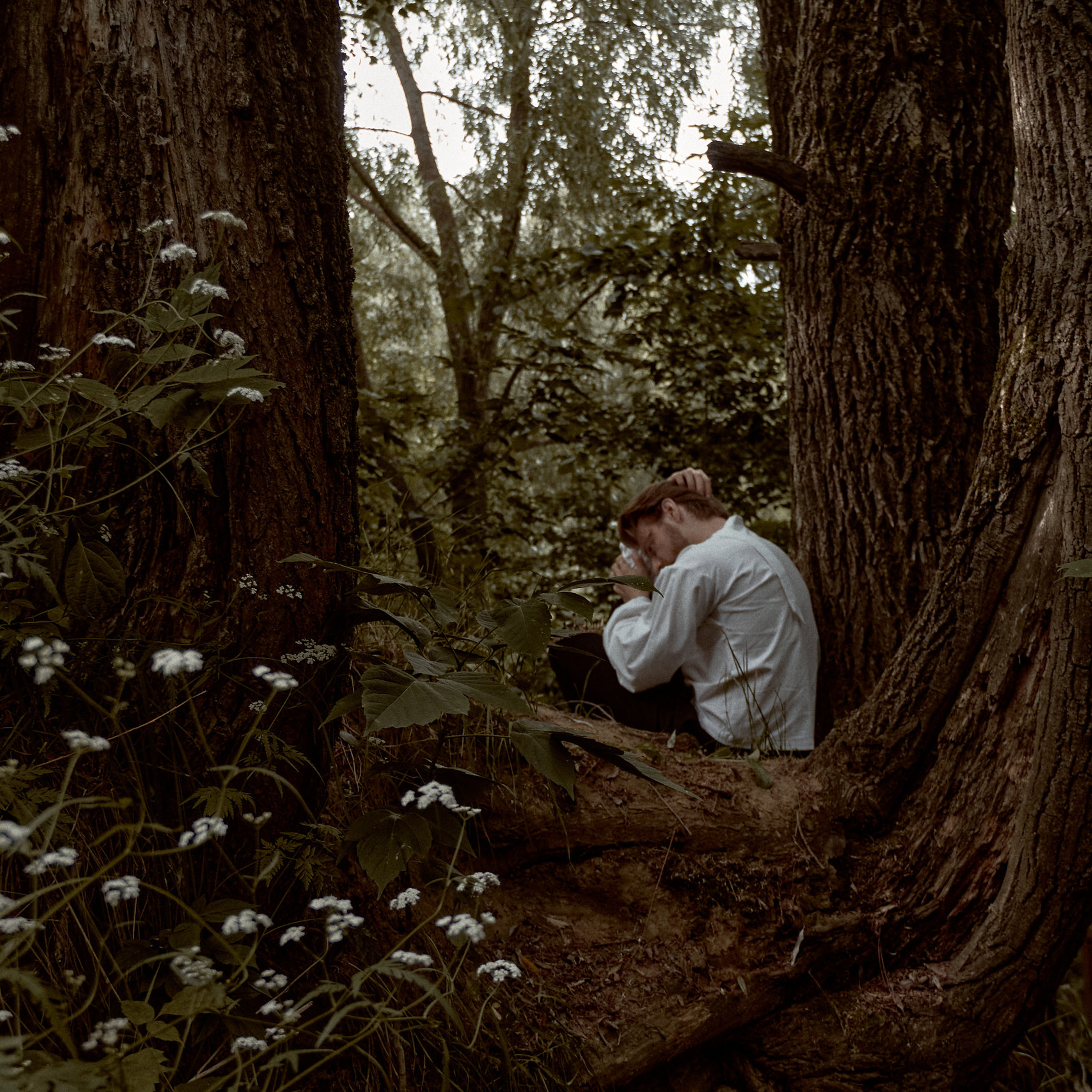 Отзывы. Фотограф лавстори Москва/МО Приятелева Ангелина