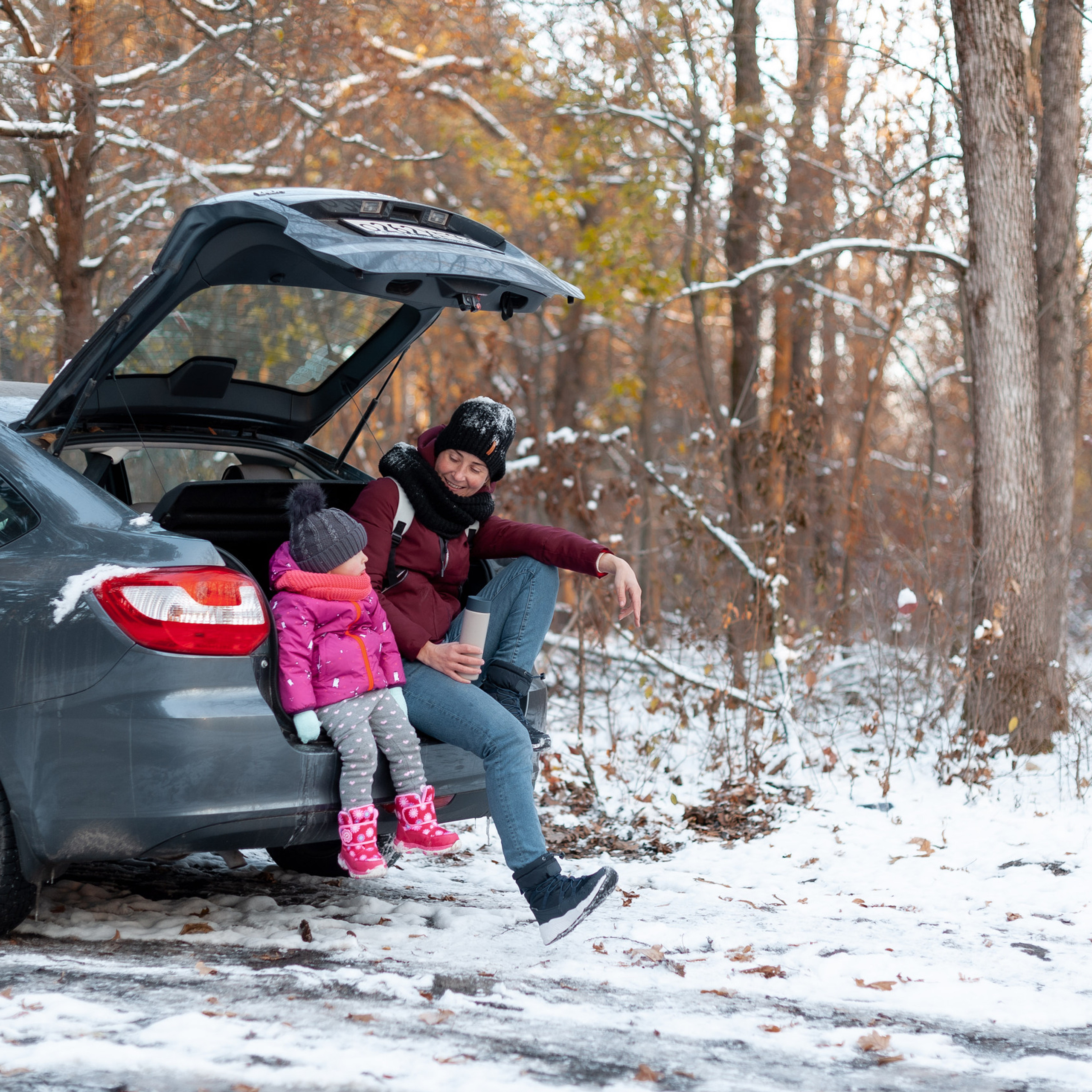 Сосновый бор