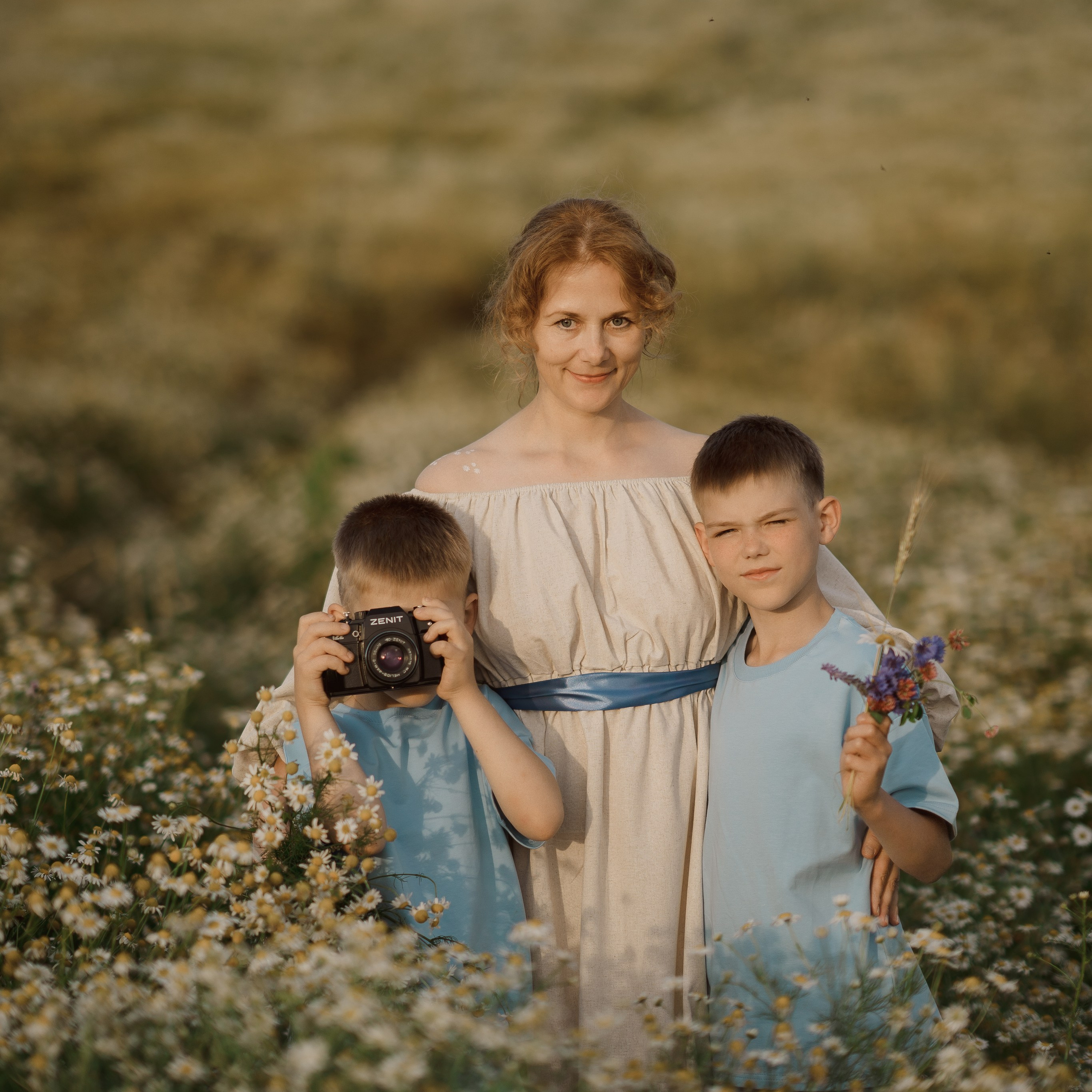Ромашковое поле. Радонеж