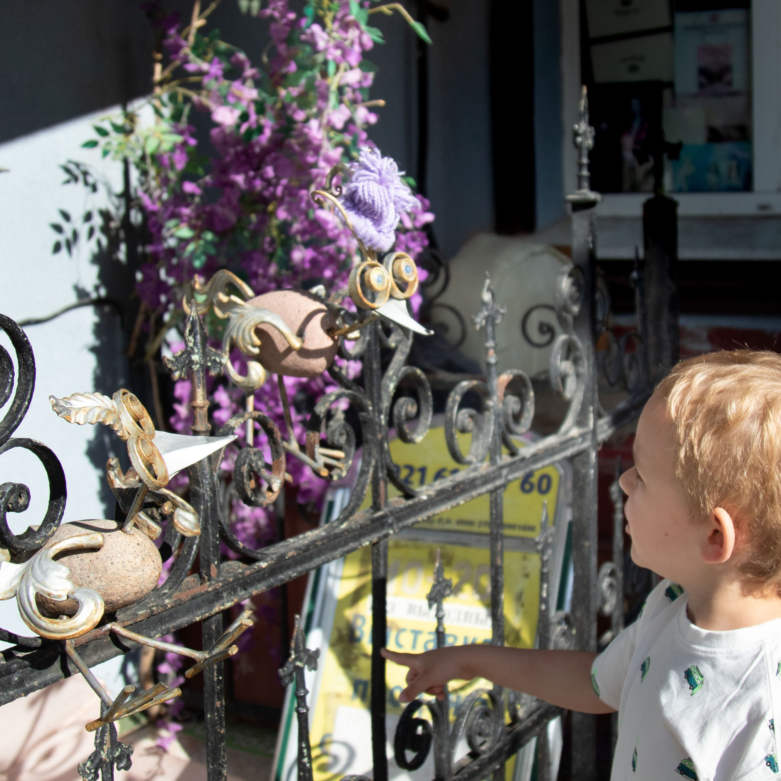 что в зрачках у птички?)