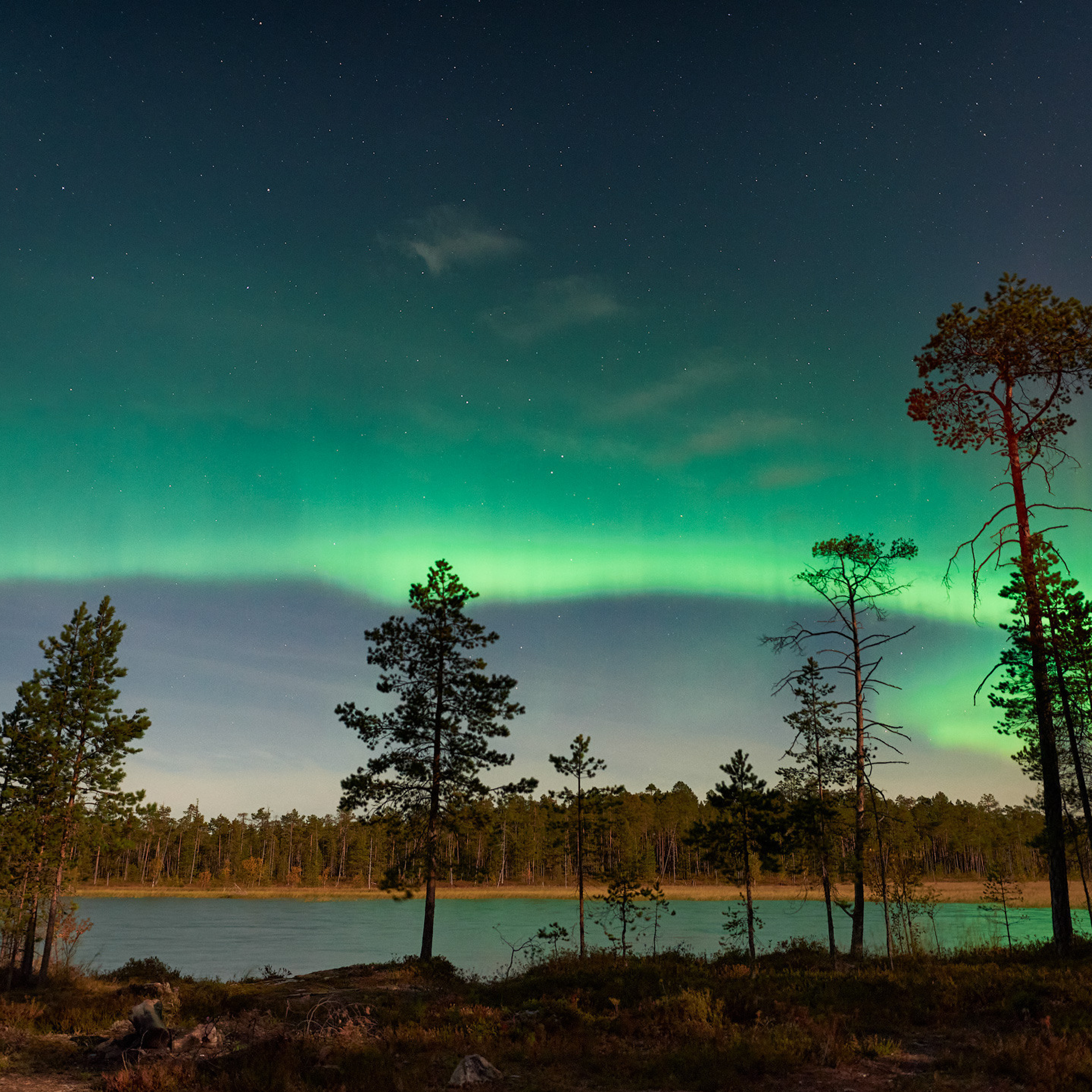 Отзывы. Андрей Баскевич пейзажный и travel-фотограф в Зеленограде