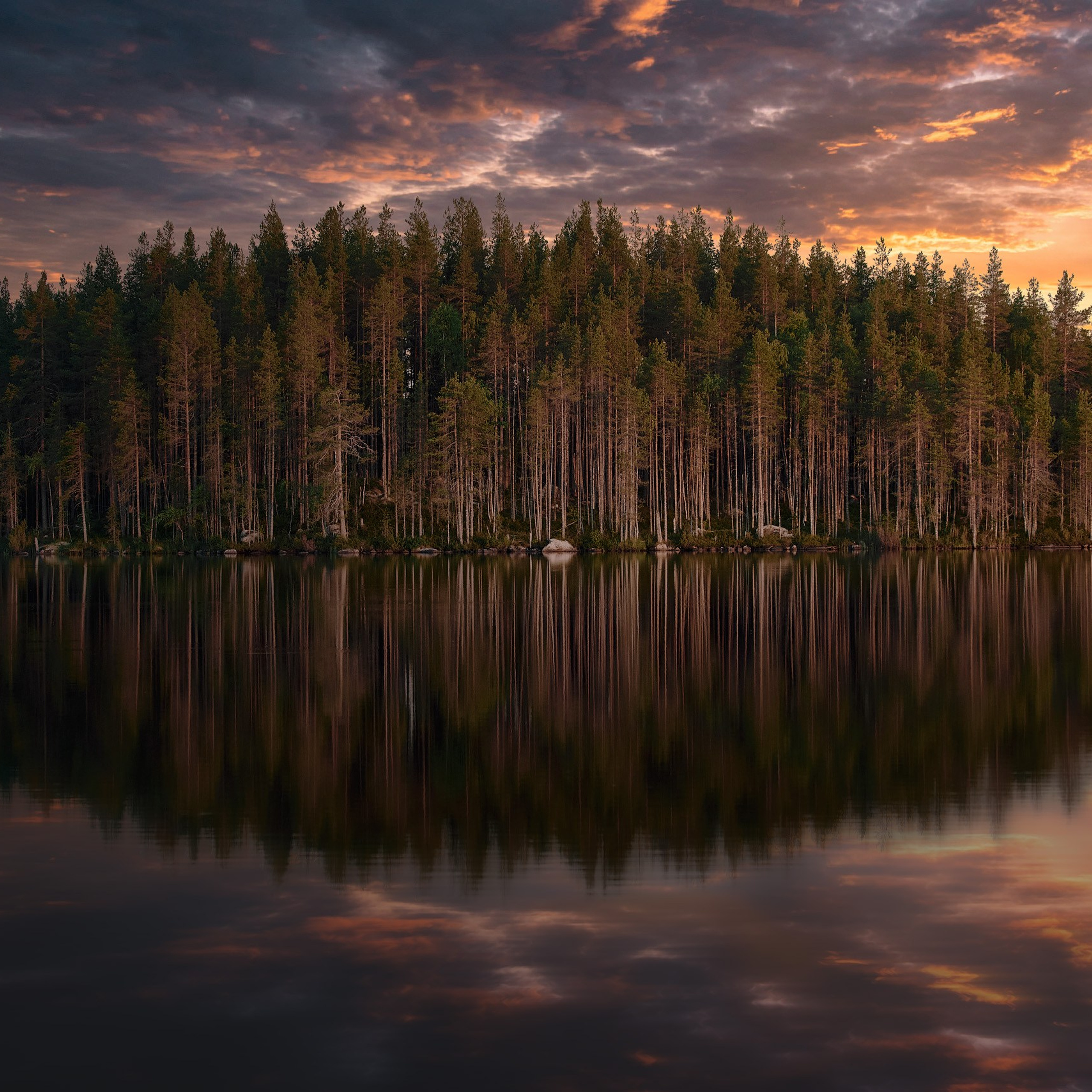 Отзывы. Андрей Баскевич пейзажный и travel-фотограф в Зеленограде