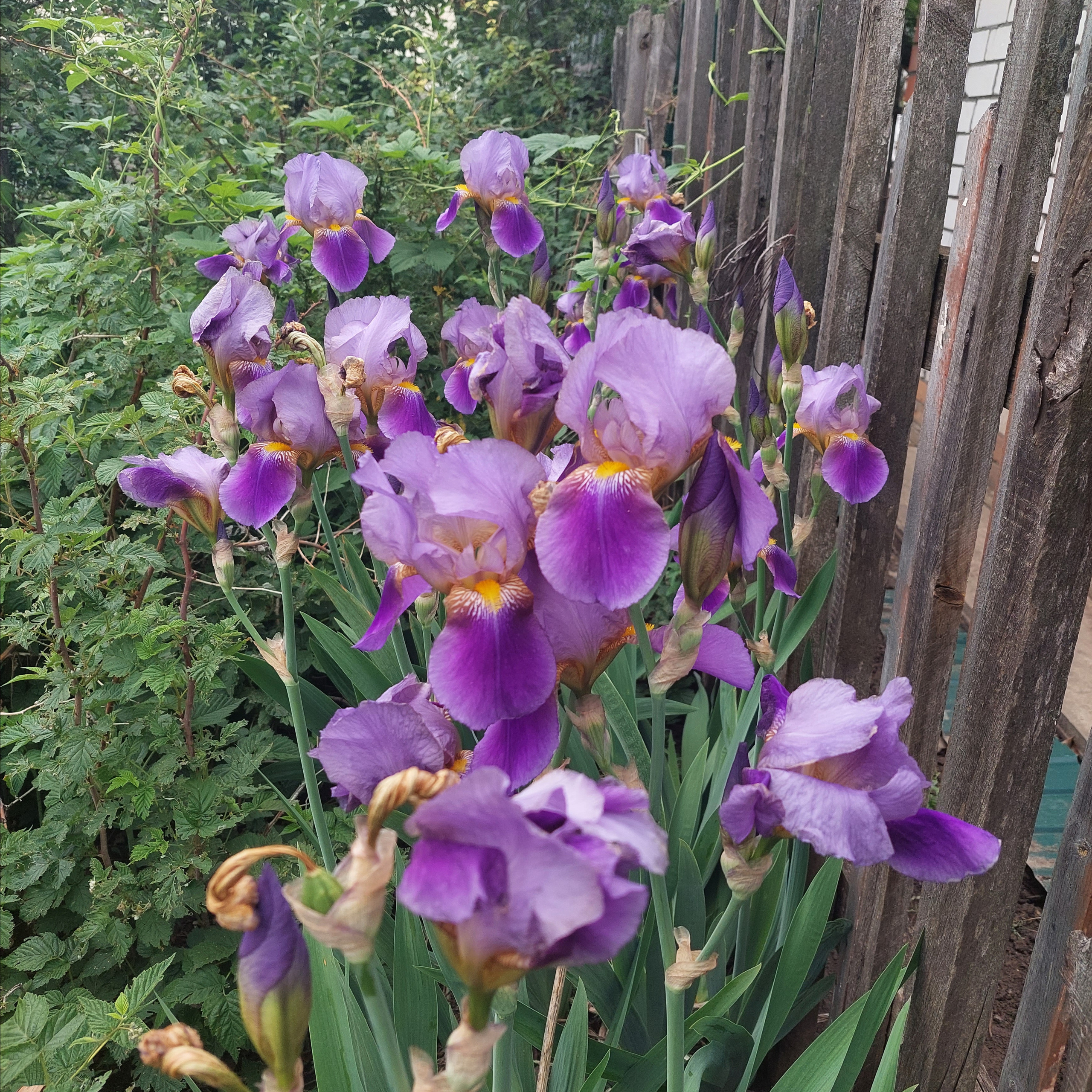 Отзывы. Свадебный и семейный фотограф в Самаре Любовь Атюшева