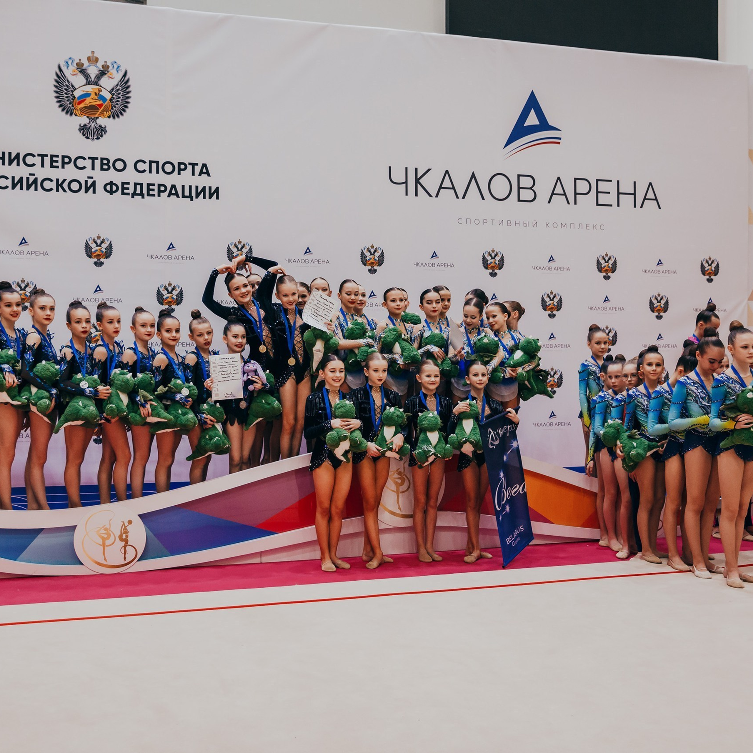 Отзывы. Спортивный фотограф Александр Васильев. RG и AGG