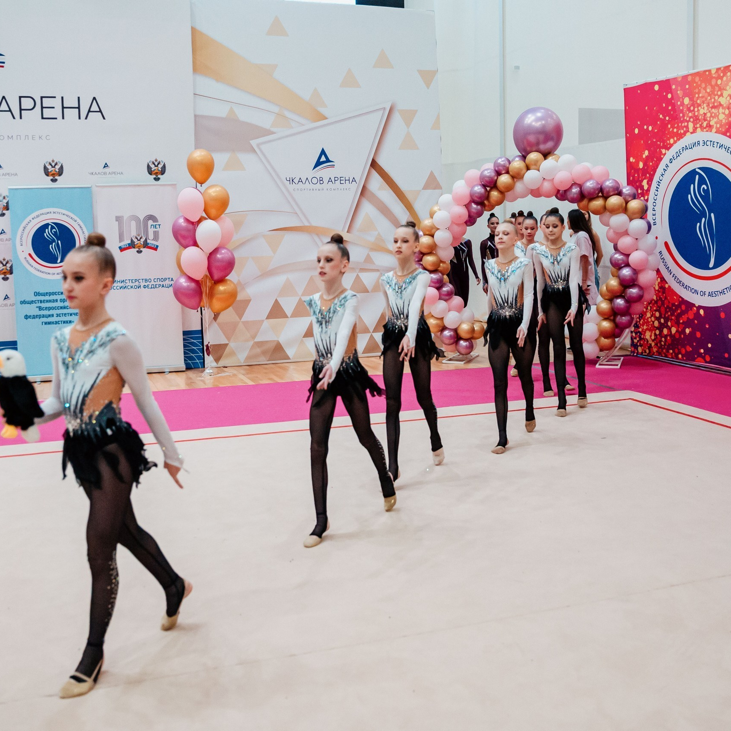 Отзывы. Спортивный фотограф Александр Васильев. RG и AGG