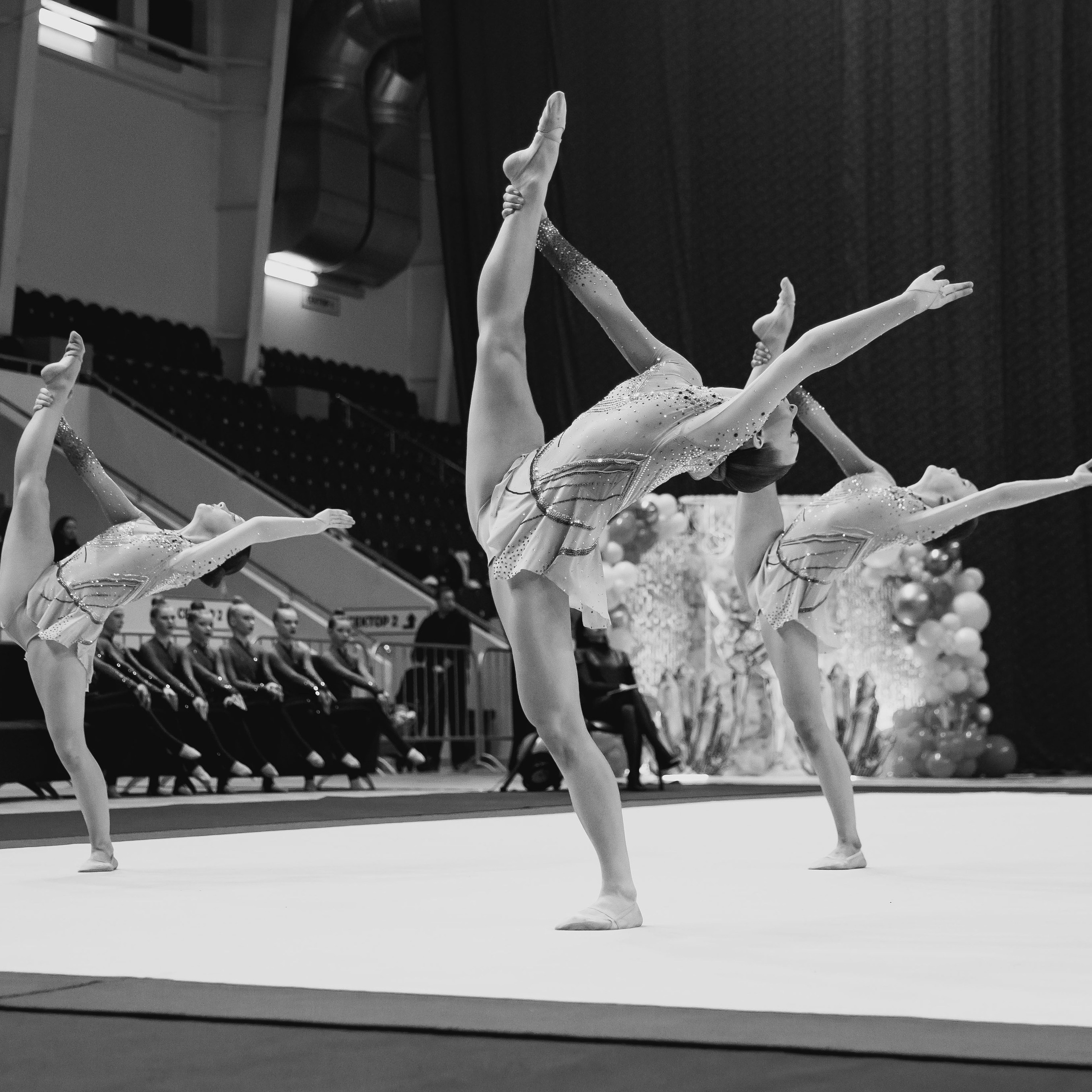 Отзывы. Спортивный фотограф Александр Васильев