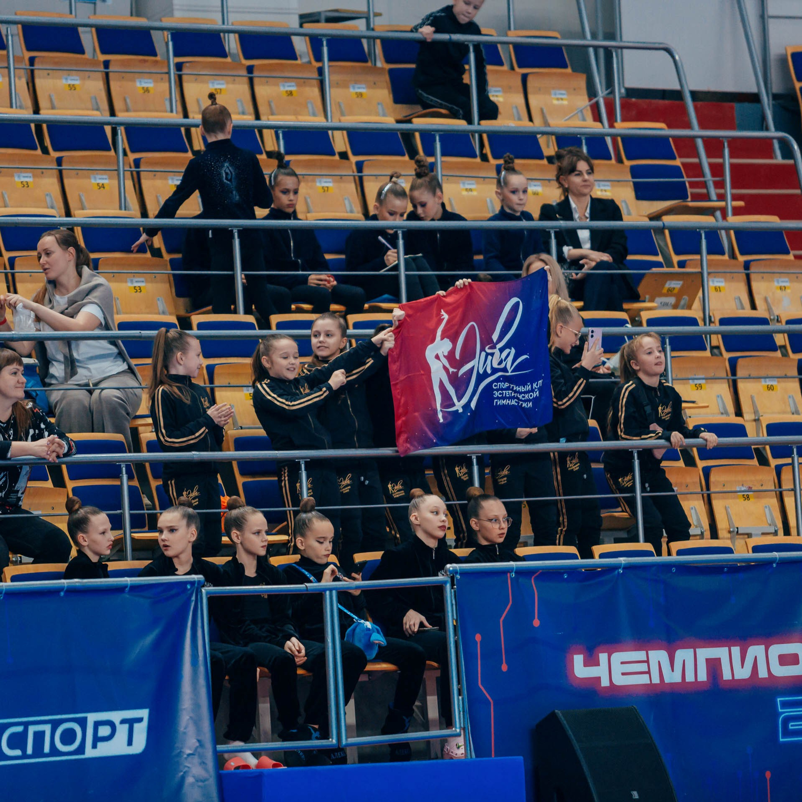 Отзывы. Спортивный фотограф Александр Васильев. RG и AGG