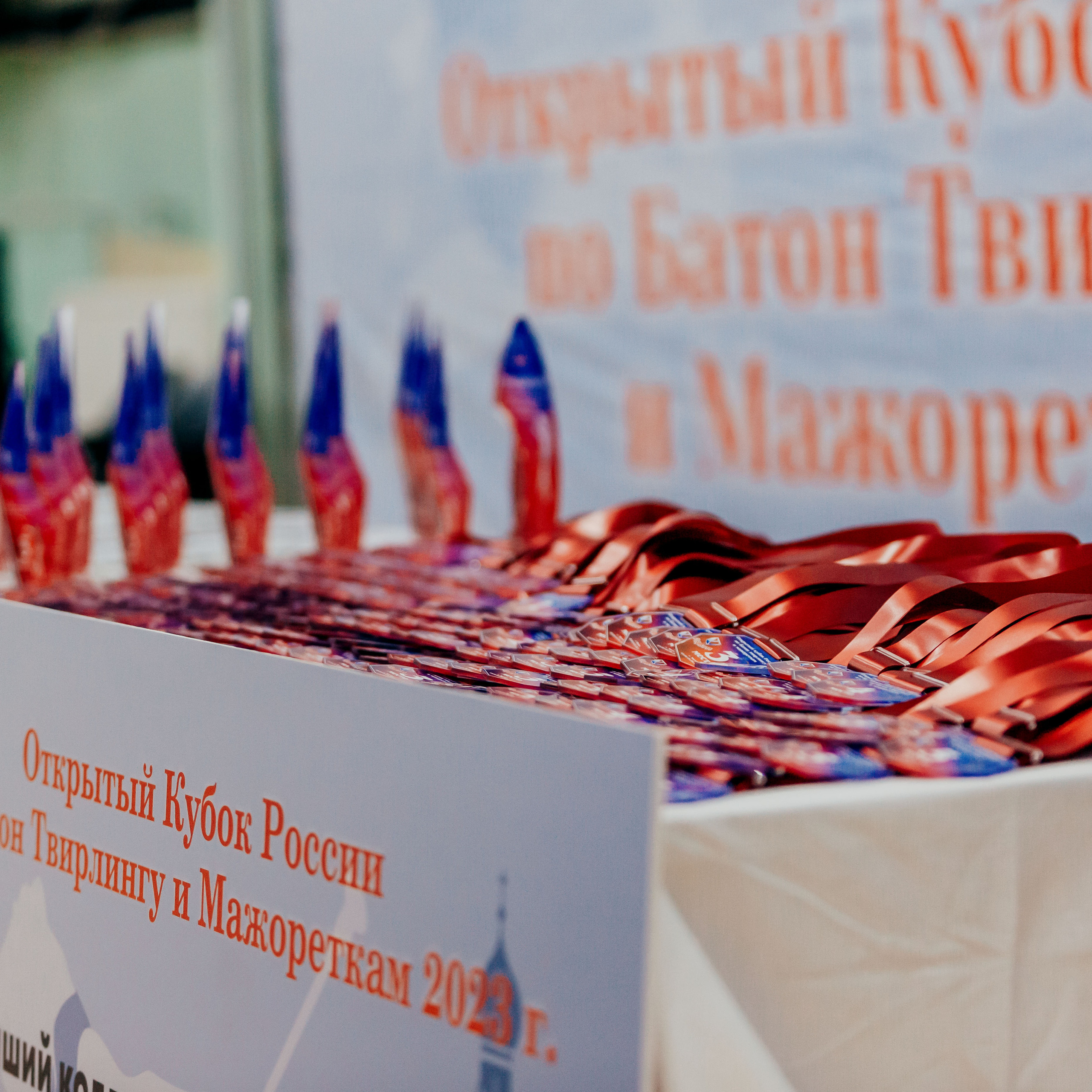 Отзывы. Спортивный фотограф Александр Васильев. RG и AGG