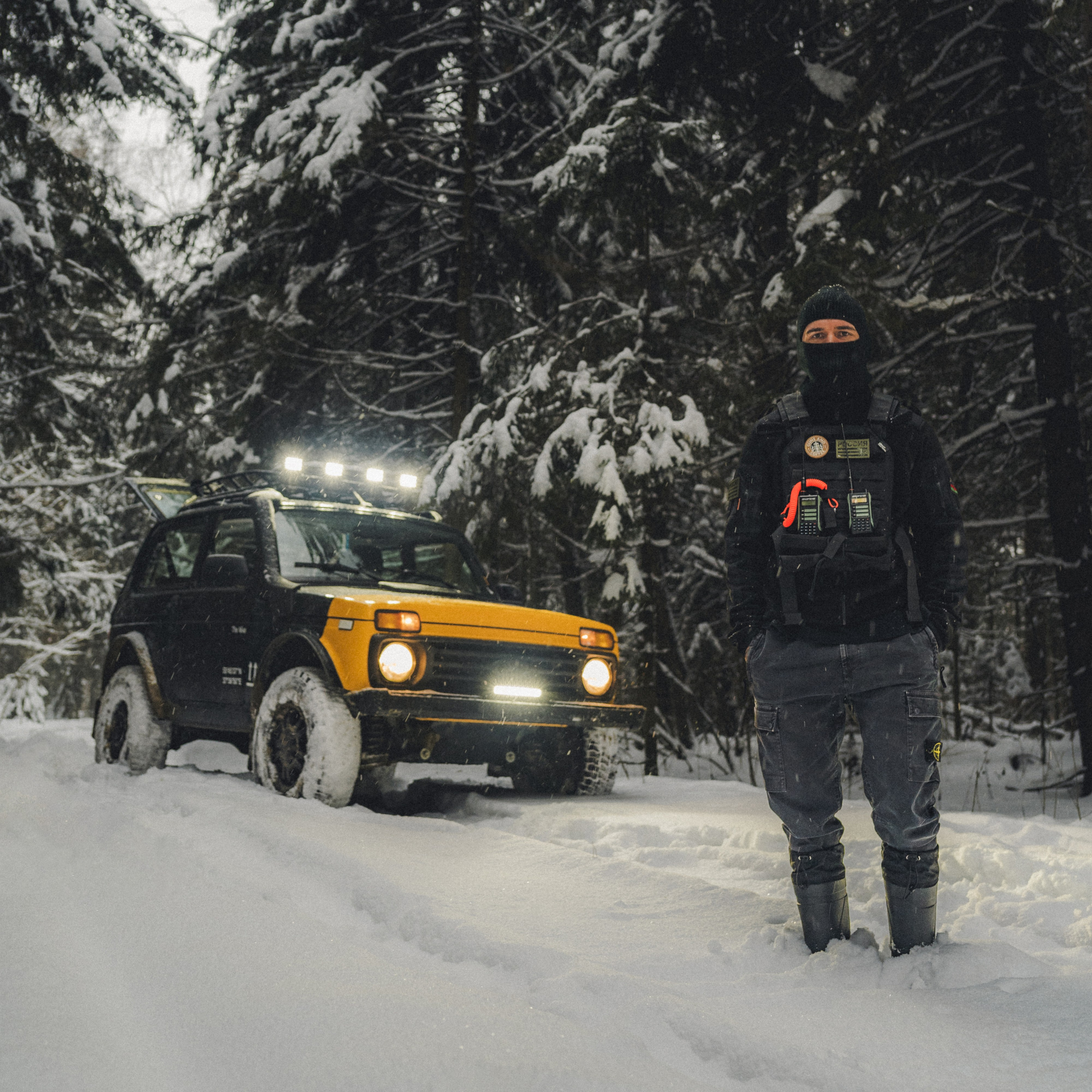 Niva Bronto (Nessie) x FAUNO