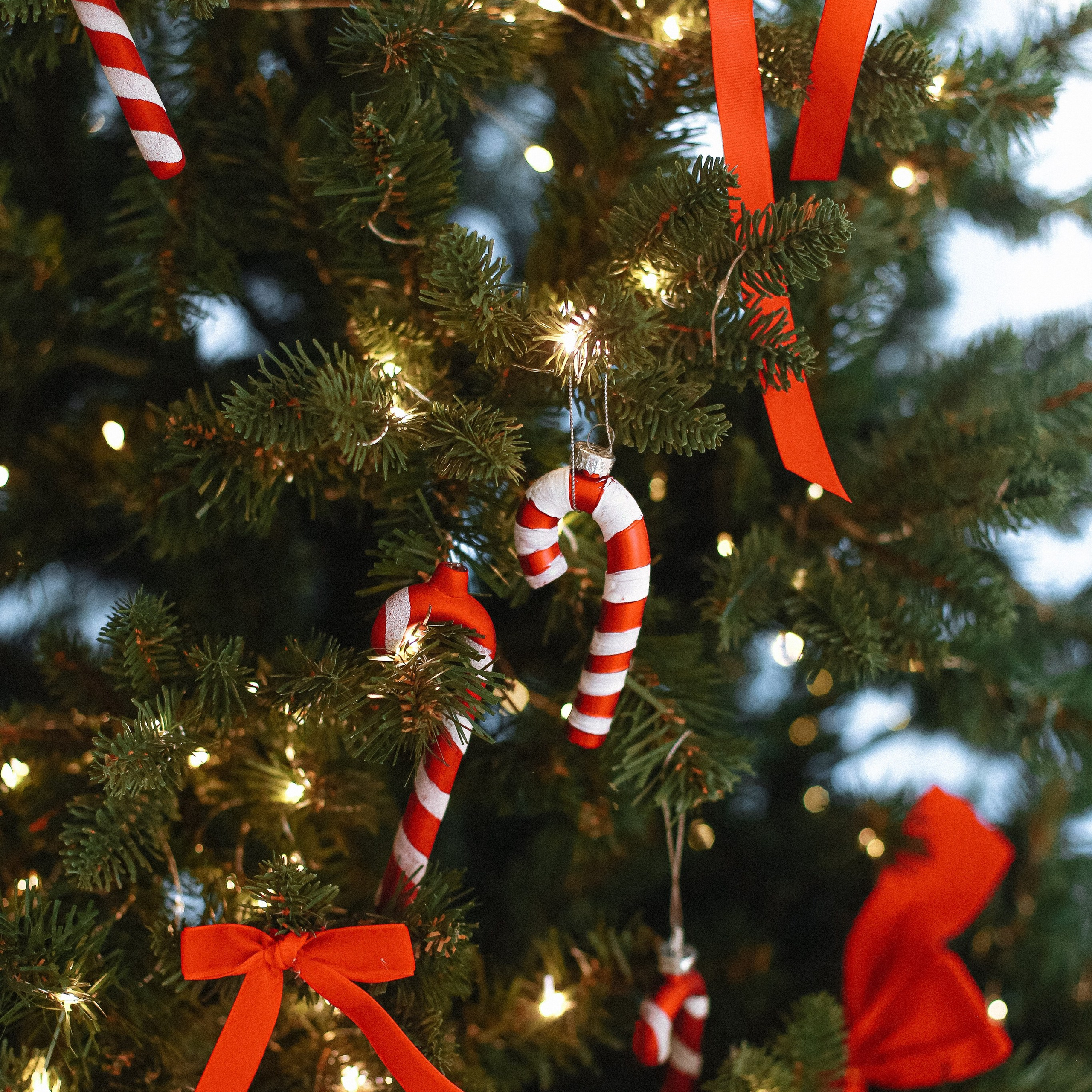 Отзывы о работе фотографа, Забелина отзывы. Фотограф историй в Челябинске и Екб