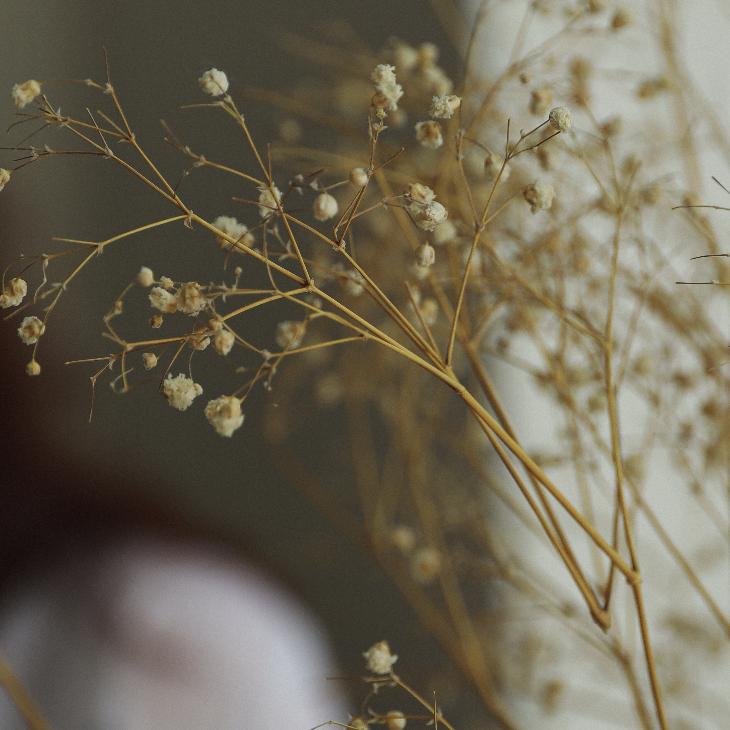 Отзывы о работе фотографа, Забелина отзывы. Фотограф историй в Челябинске и Екб