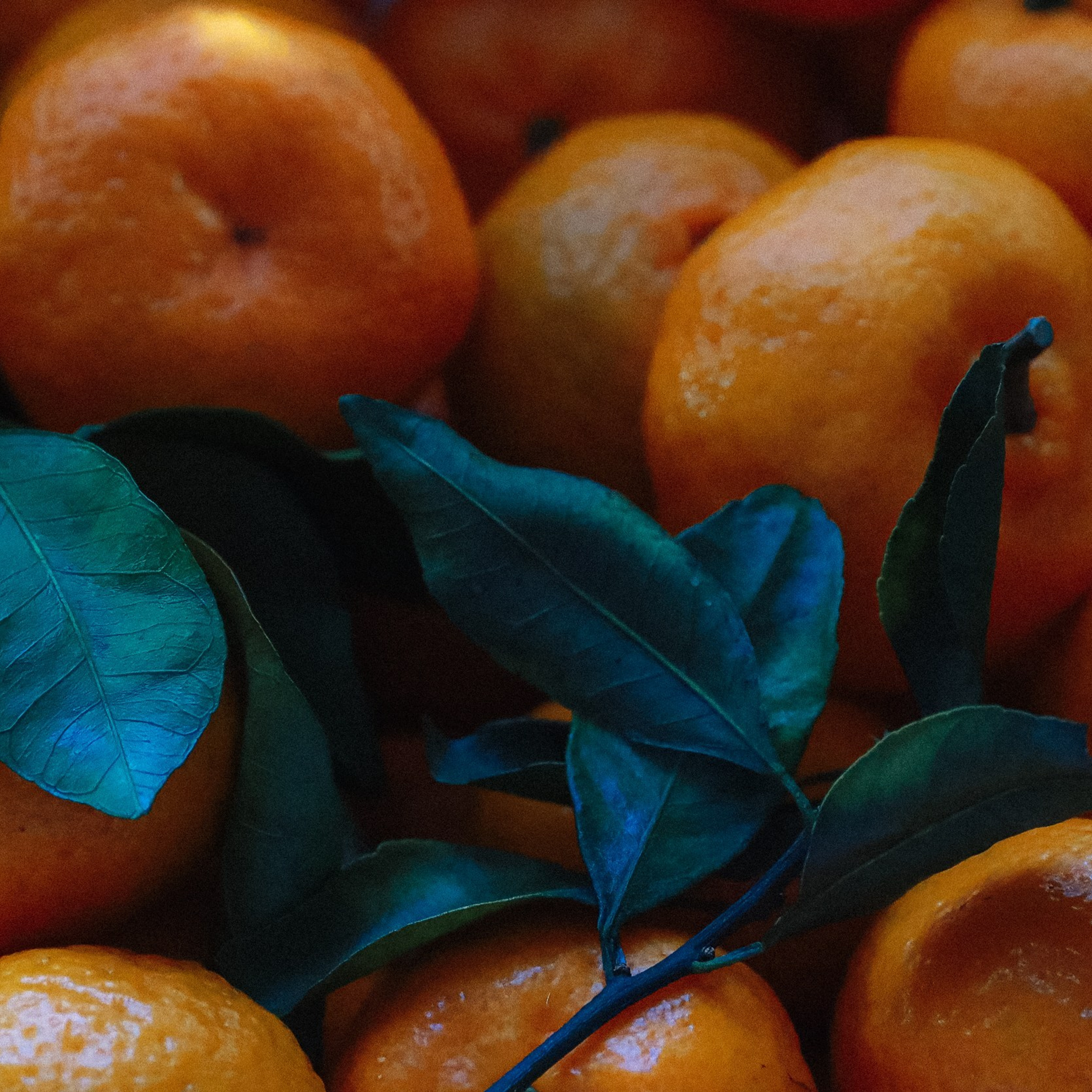 Отзывы о работе фотографа, Забелина отзывы. Фотограф историй в Челябинске и Екб