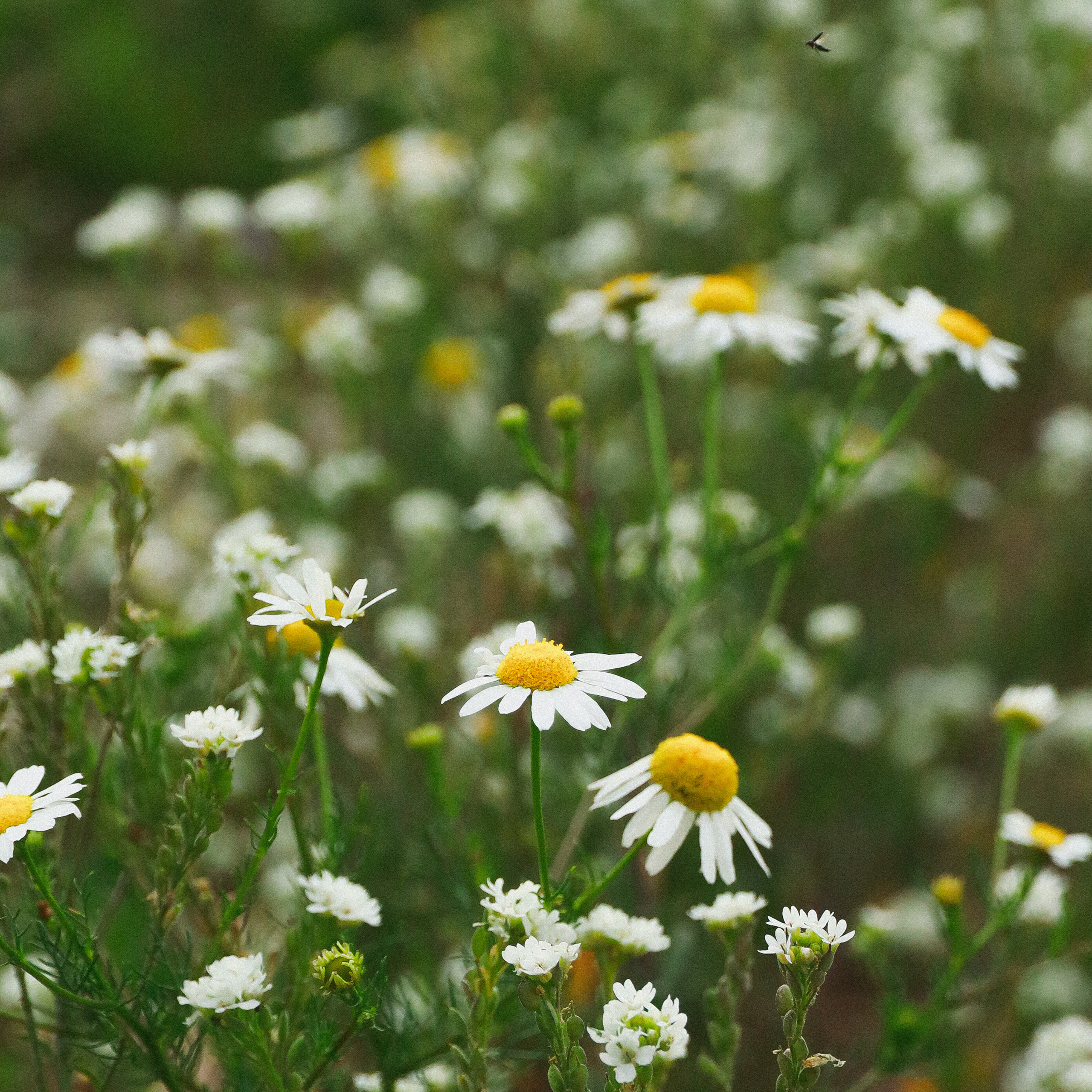 Отзывы о работе фотографа, Забелина отзывы. Фотограф историй в Челябинске и Екб