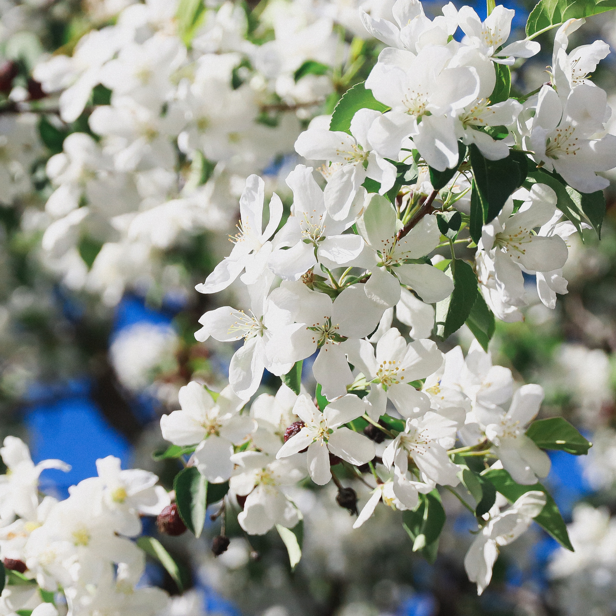 Отзывы о работе фотографа, Забелина отзывы. Фотограф историй в Челябинске и Екб