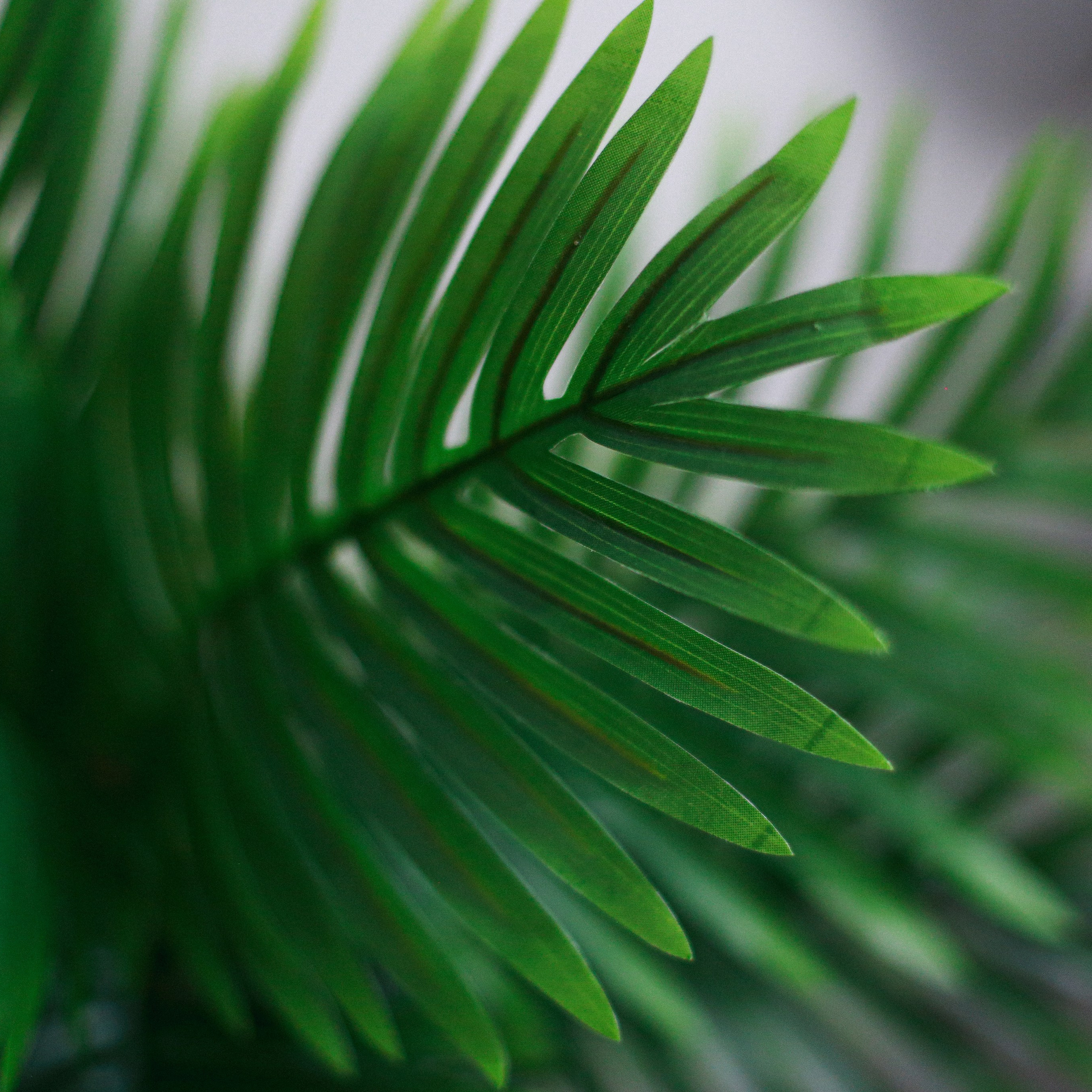 Отзывы о работе фотографа, Забелина отзывы. Фотограф историй в Челябинске и Екб