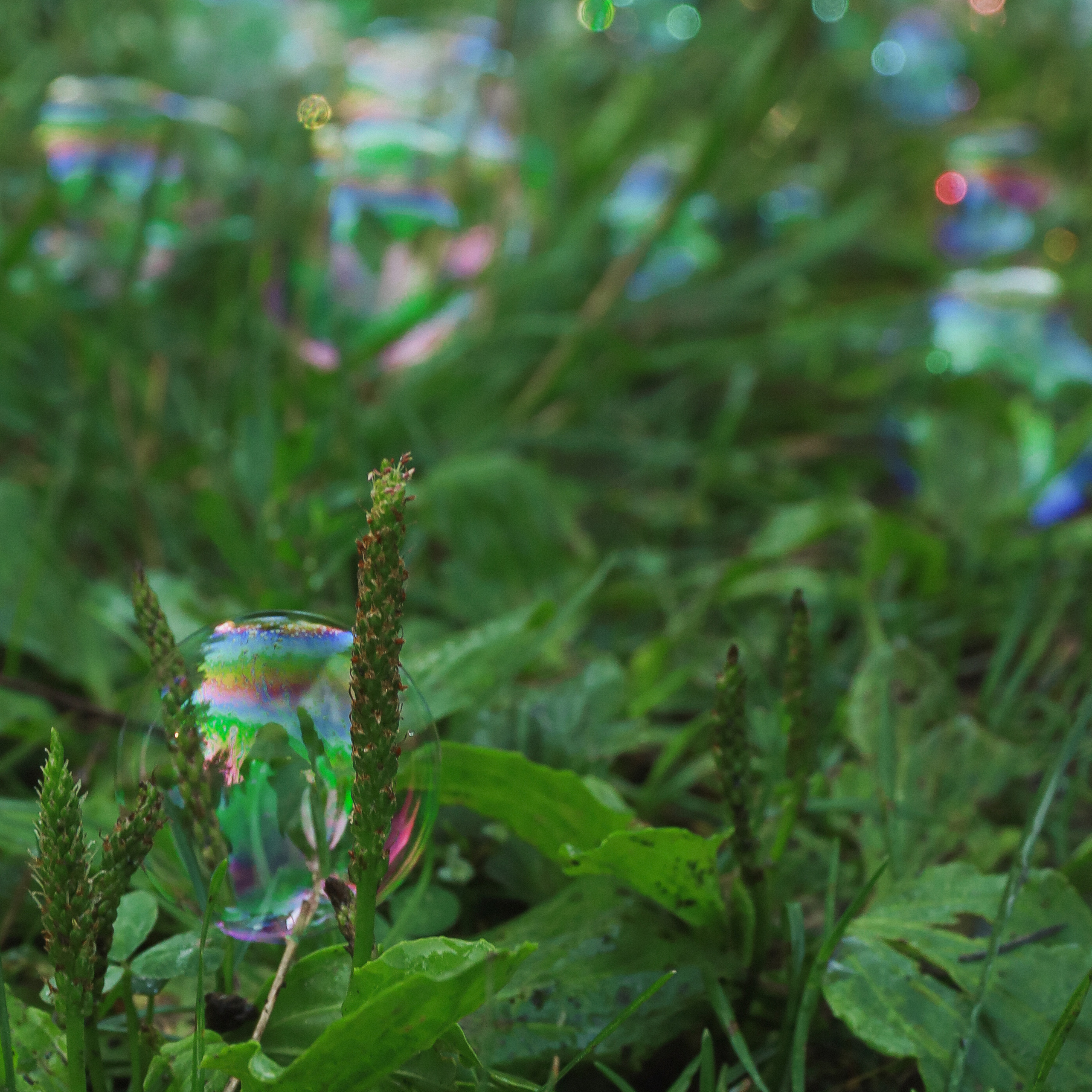 Отзывы о работе фотографа, Забелина отзывы. Фотограф историй в Челябинске и Екб