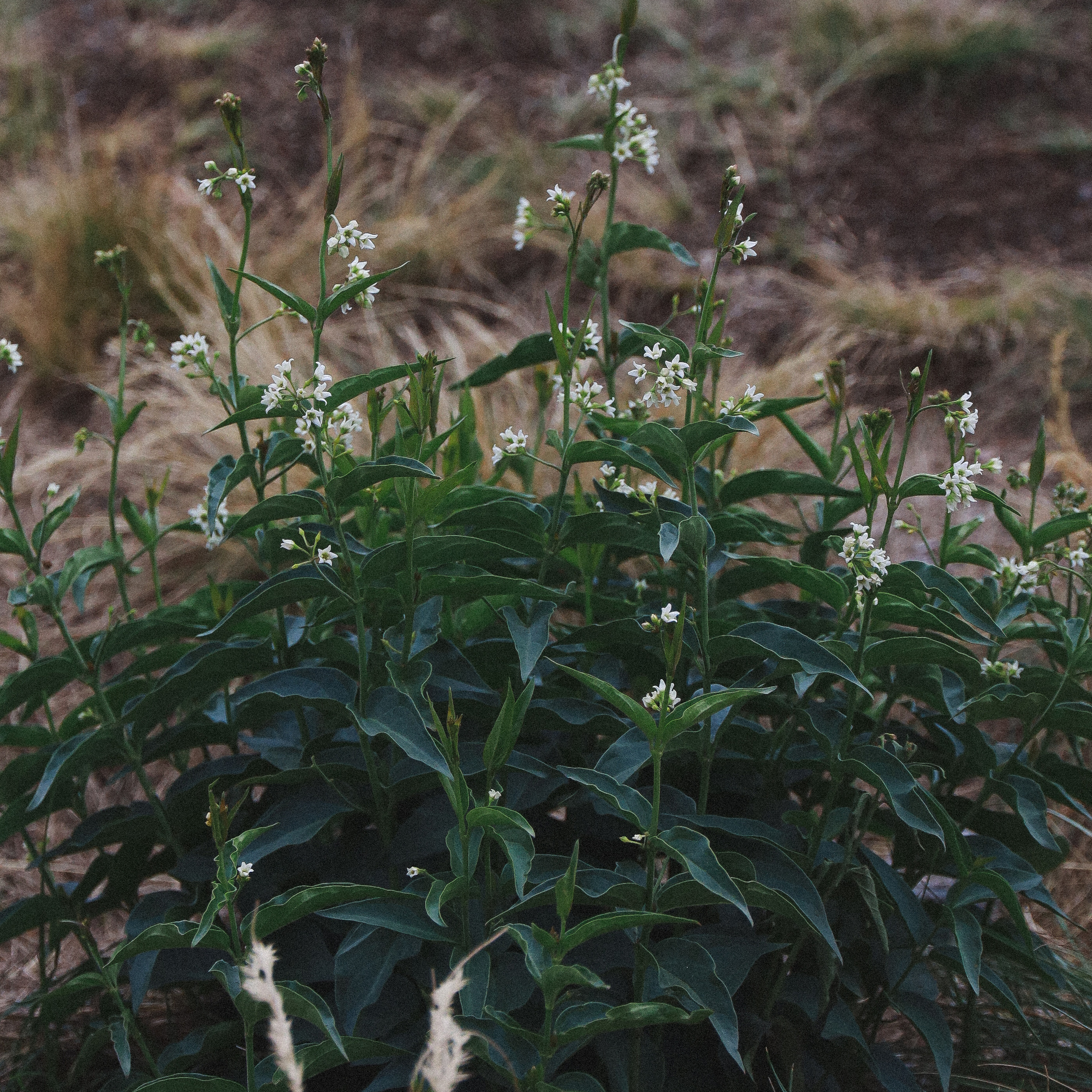 Отзывы о работе фотографа, Забелина отзывы. Фотограф историй в Челябинске и Екб